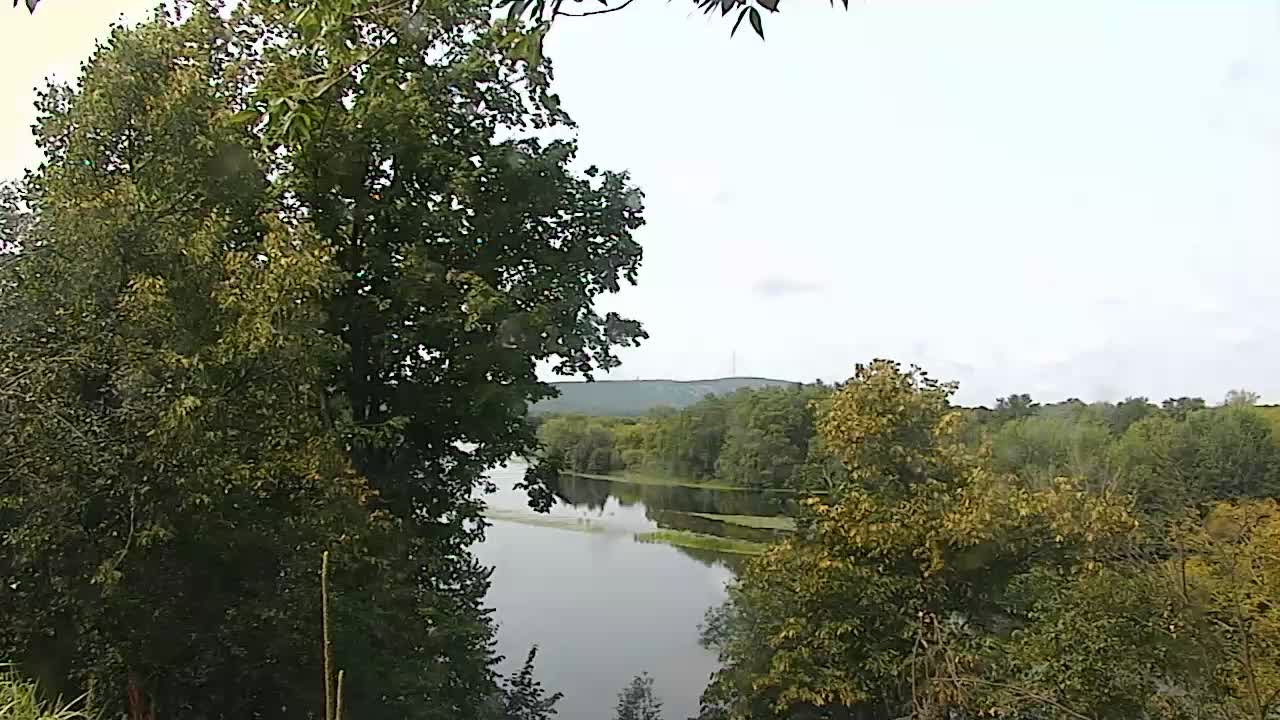webcam WSAW Riverside