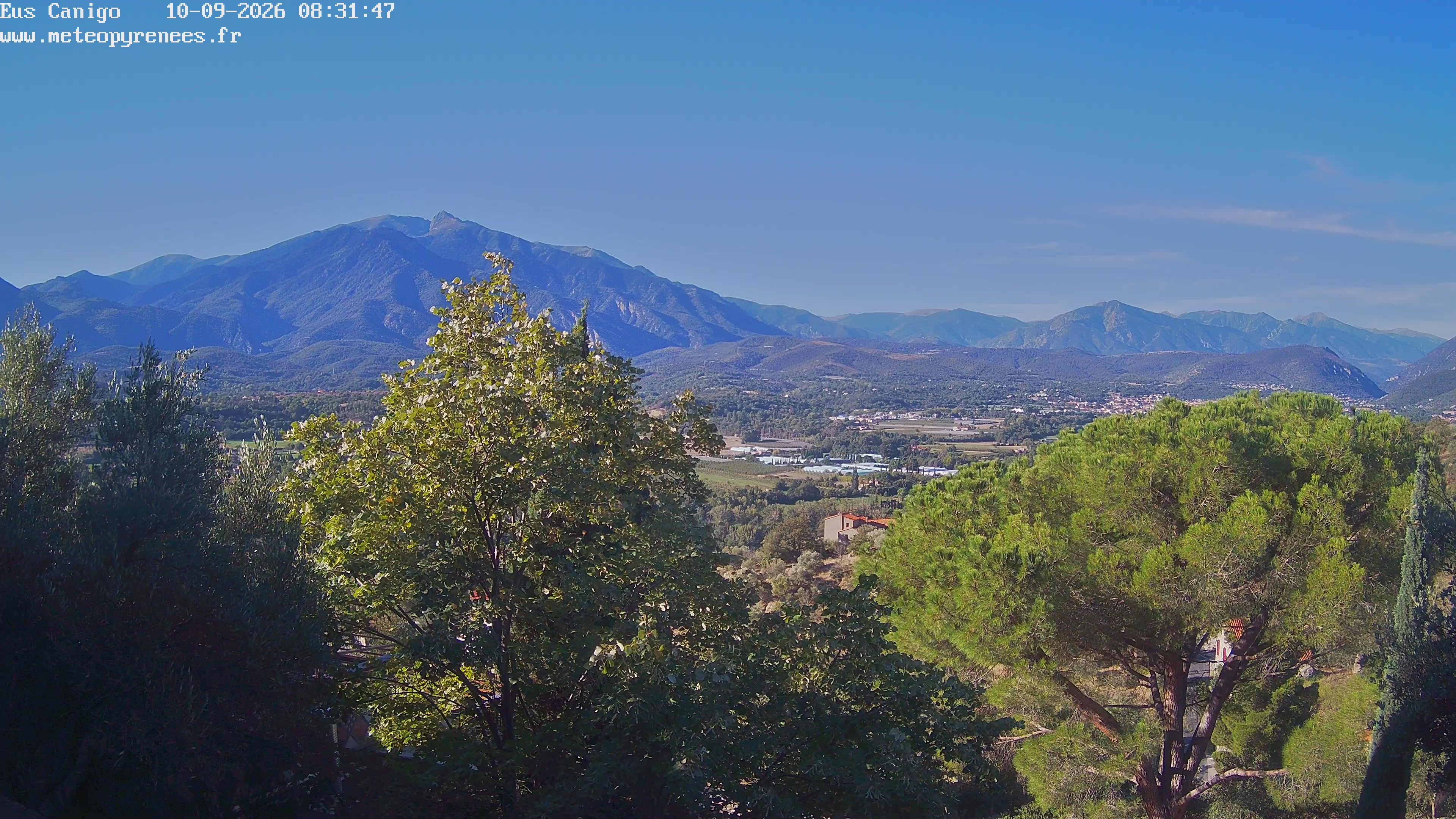 Webcam Image