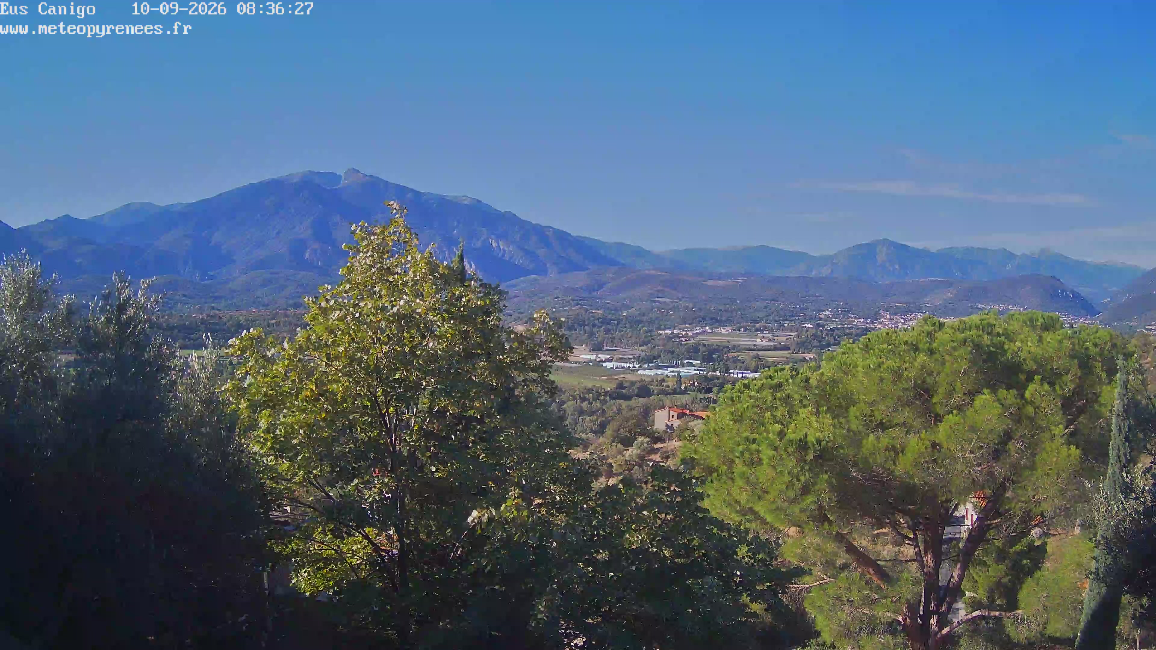 Webcam Image