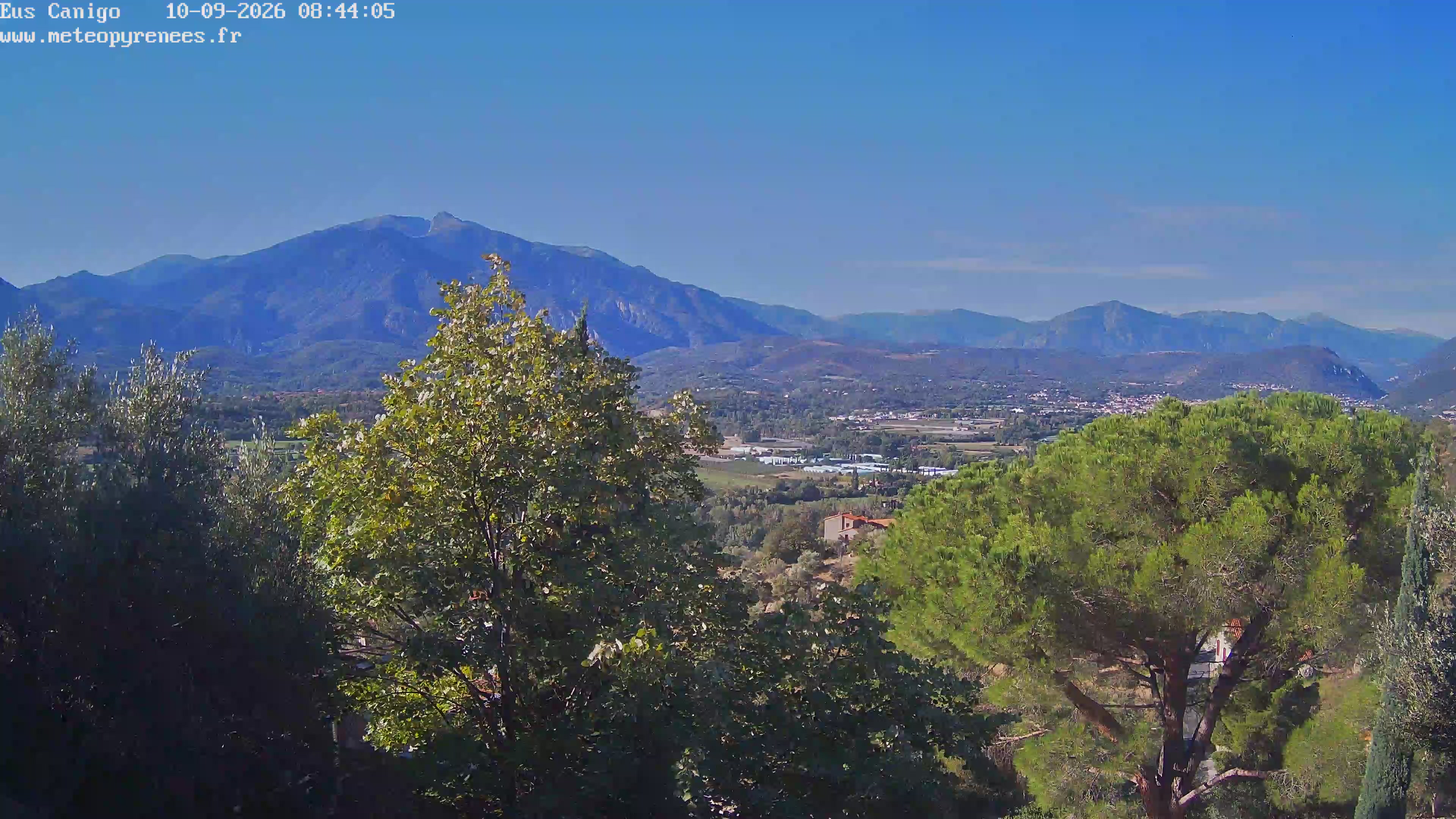 Webcam Image