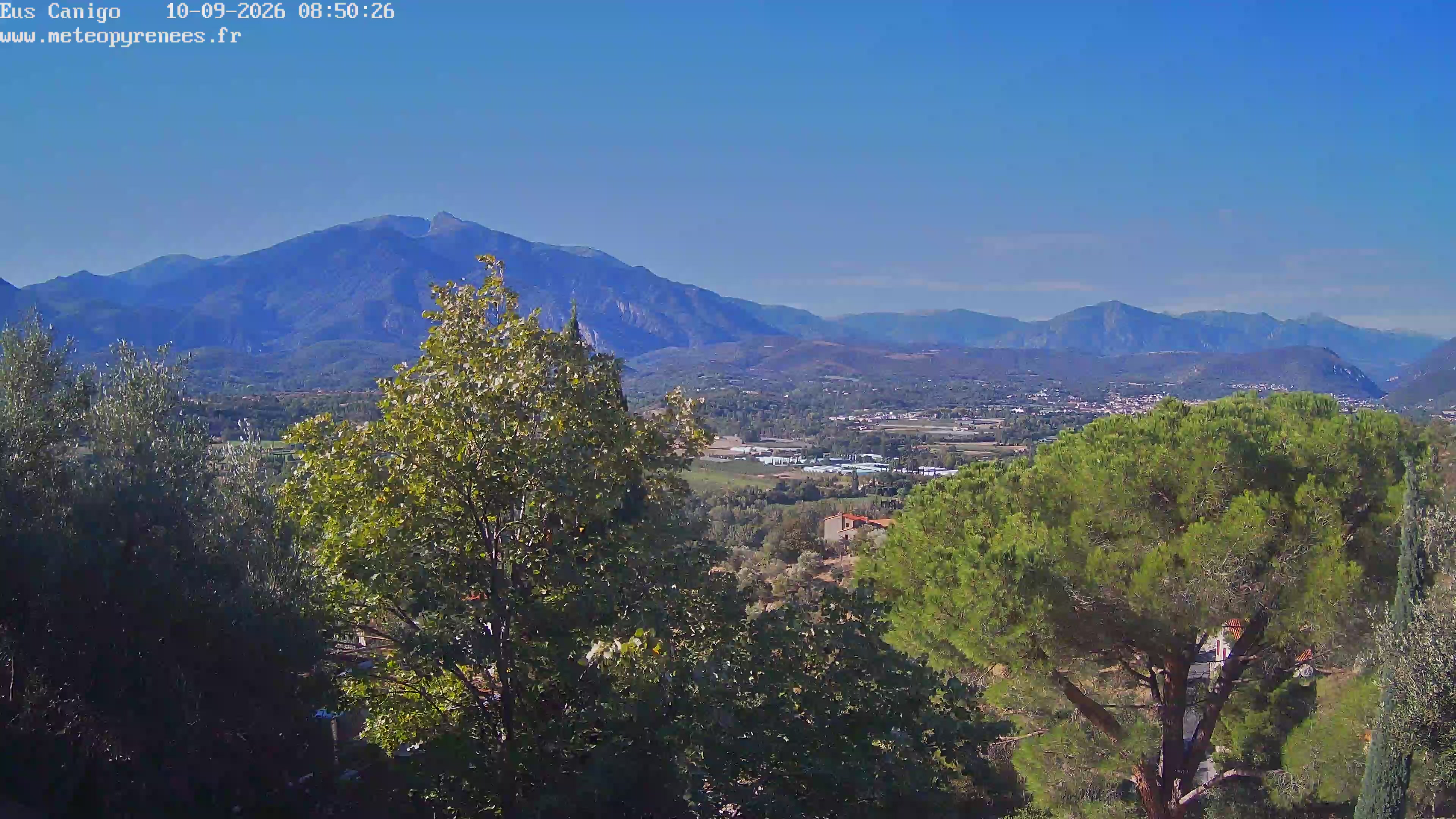 Webcam Image