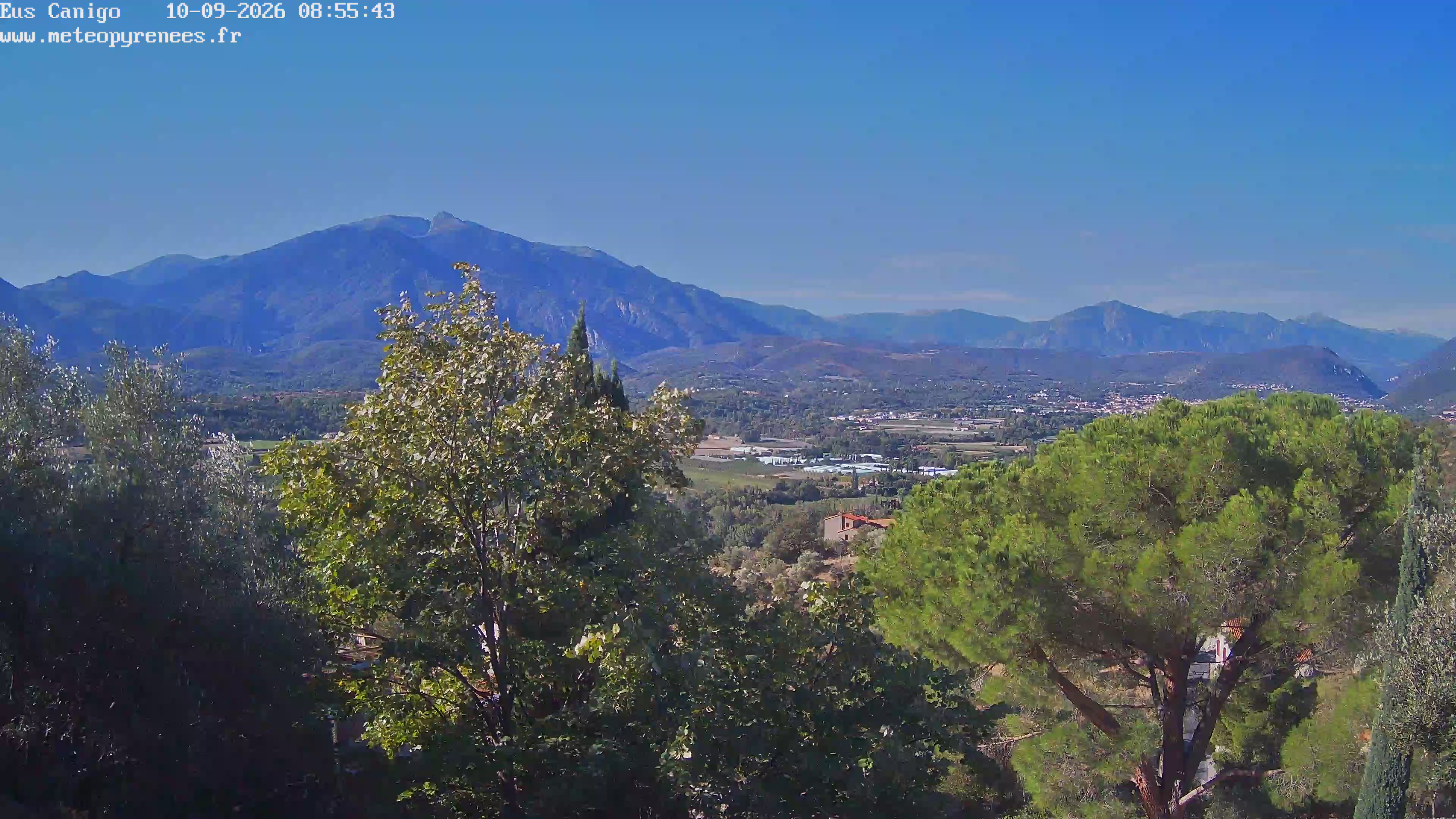 Webcam Image