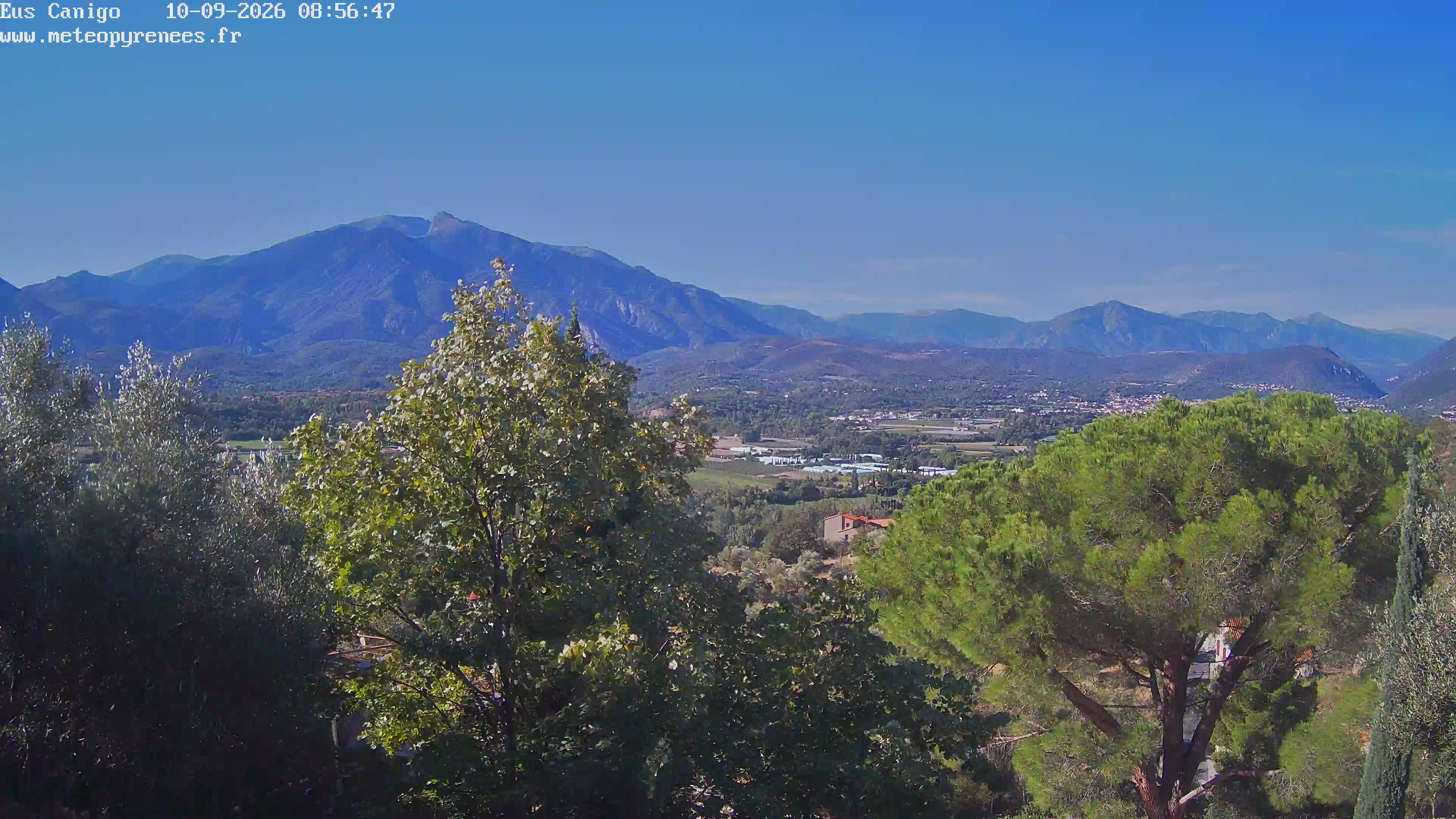 Webcam Image