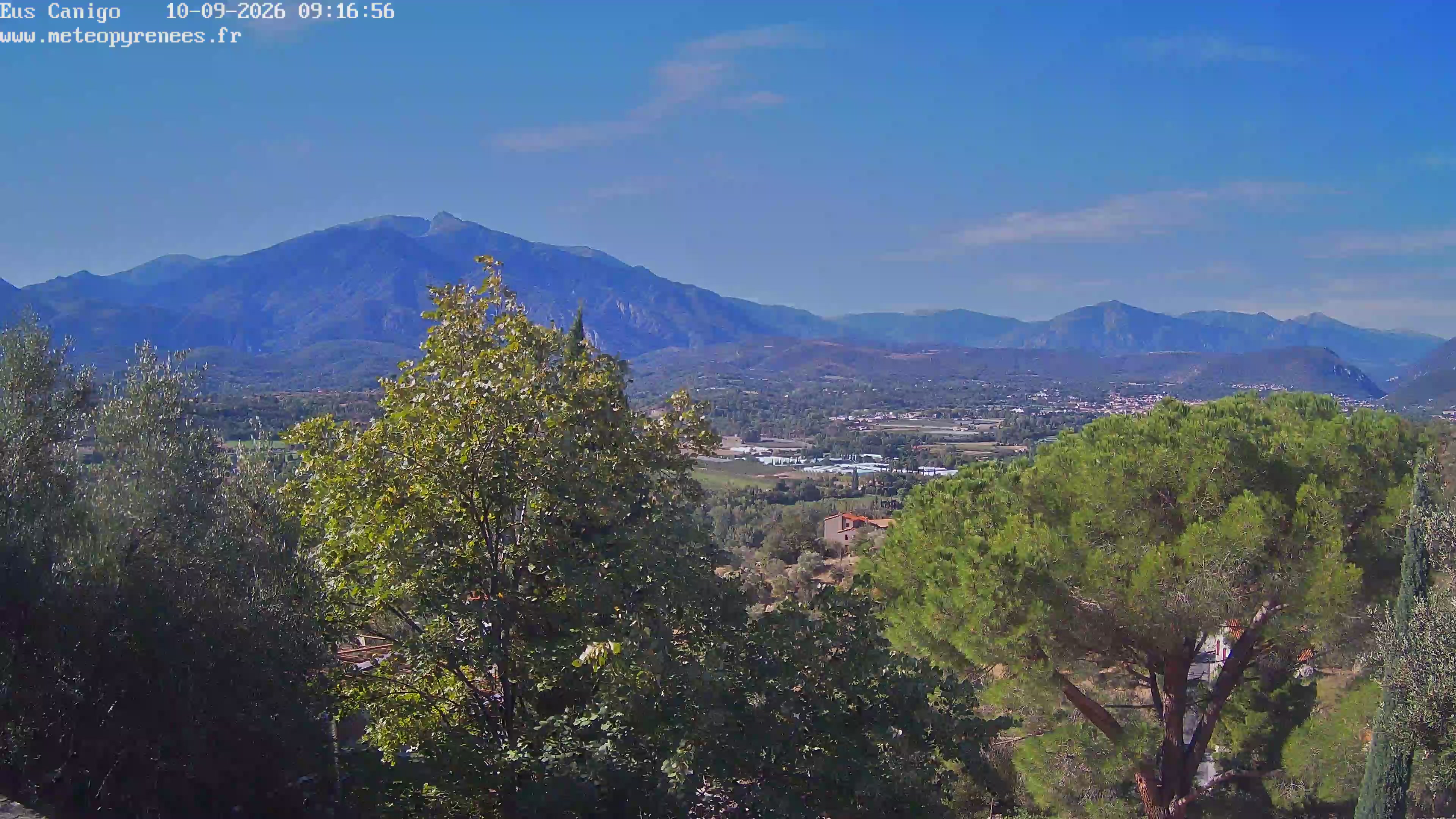 Webcam Image