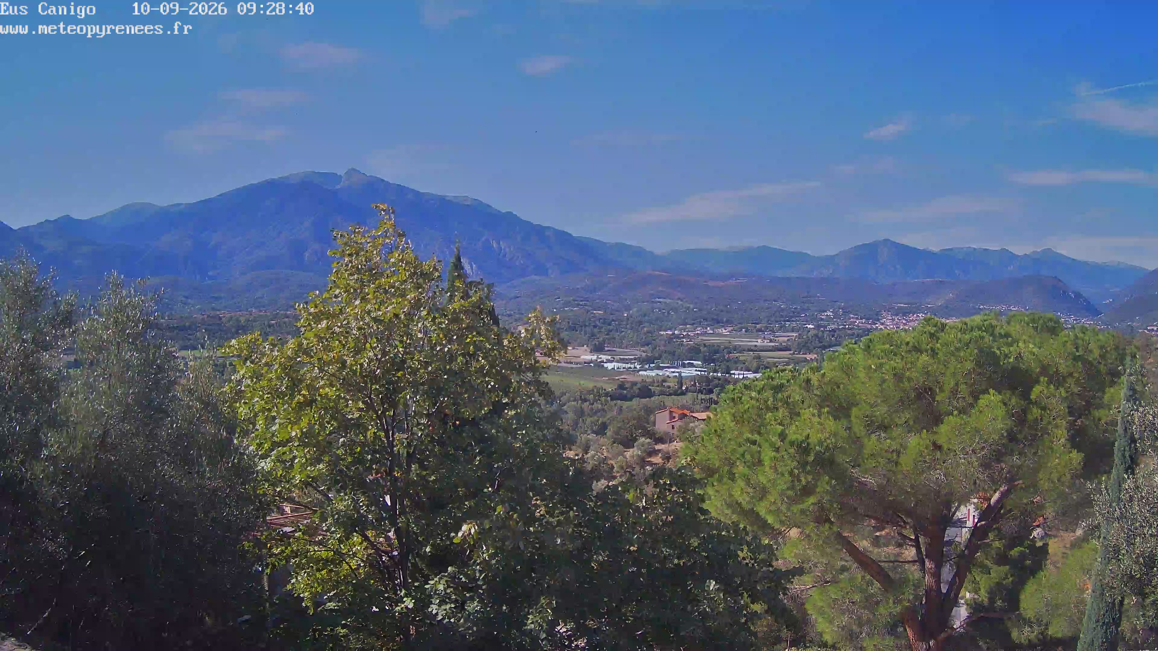 Webcam Image
