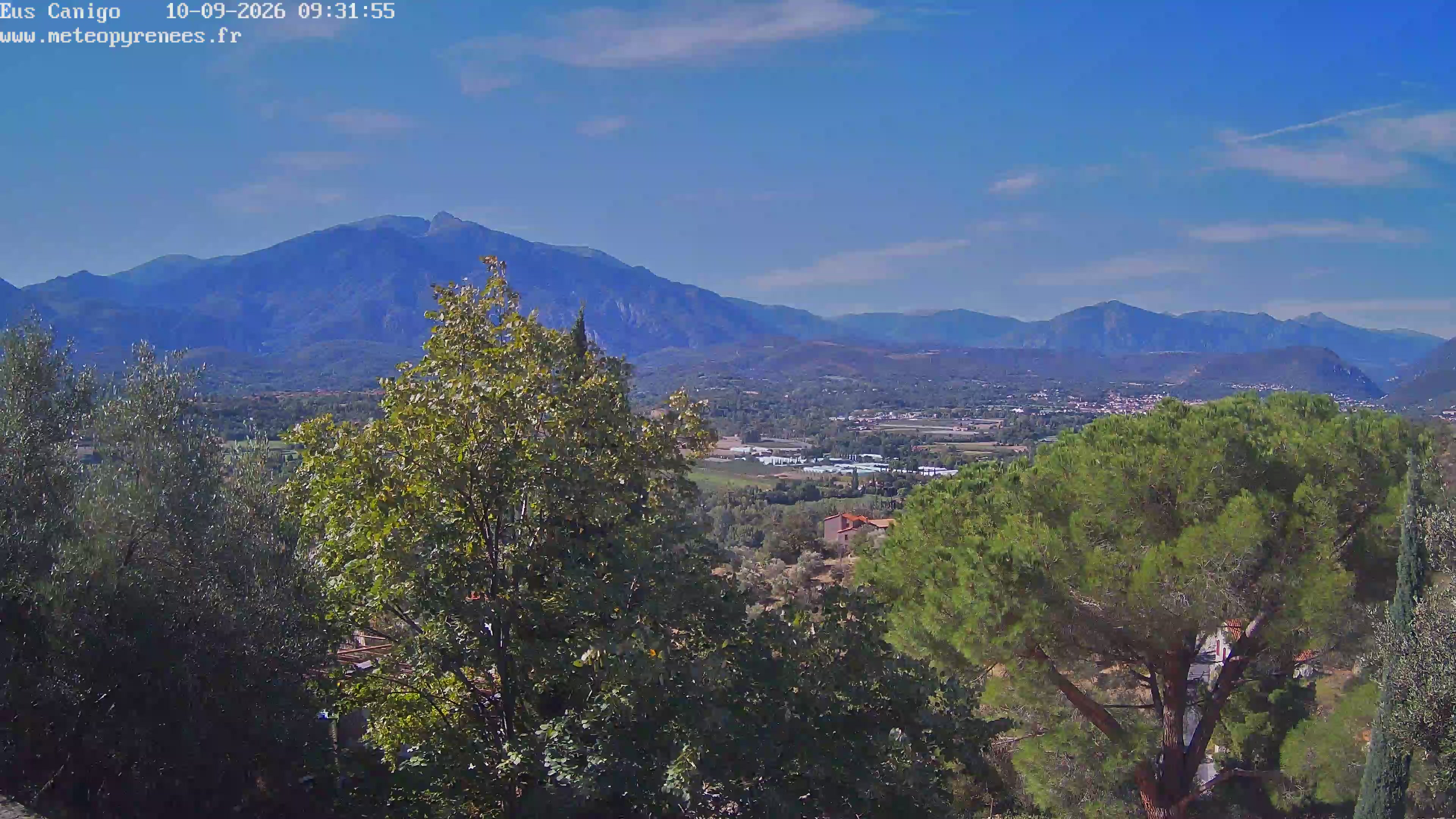 Webcam Image