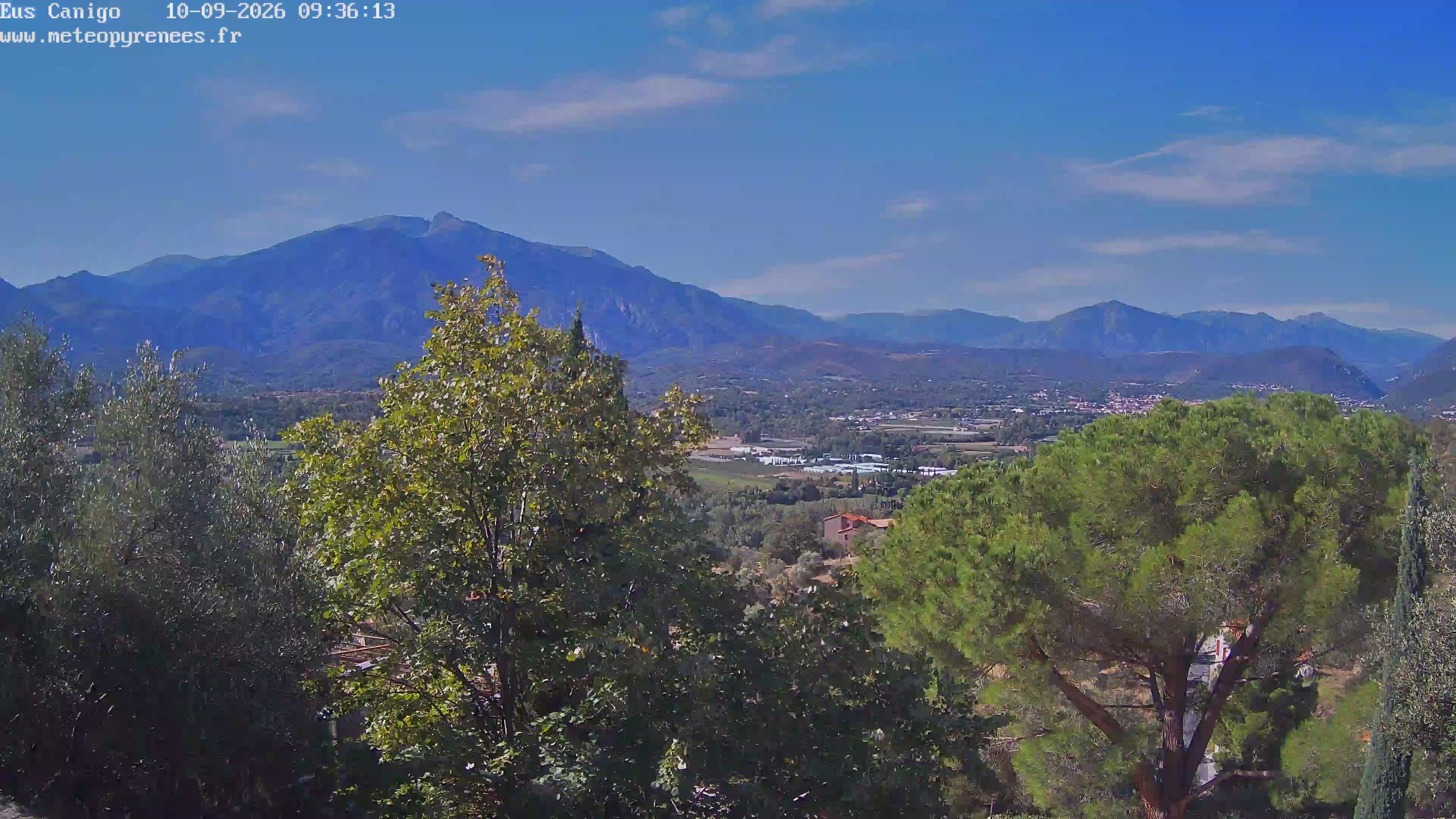 Webcam Image
