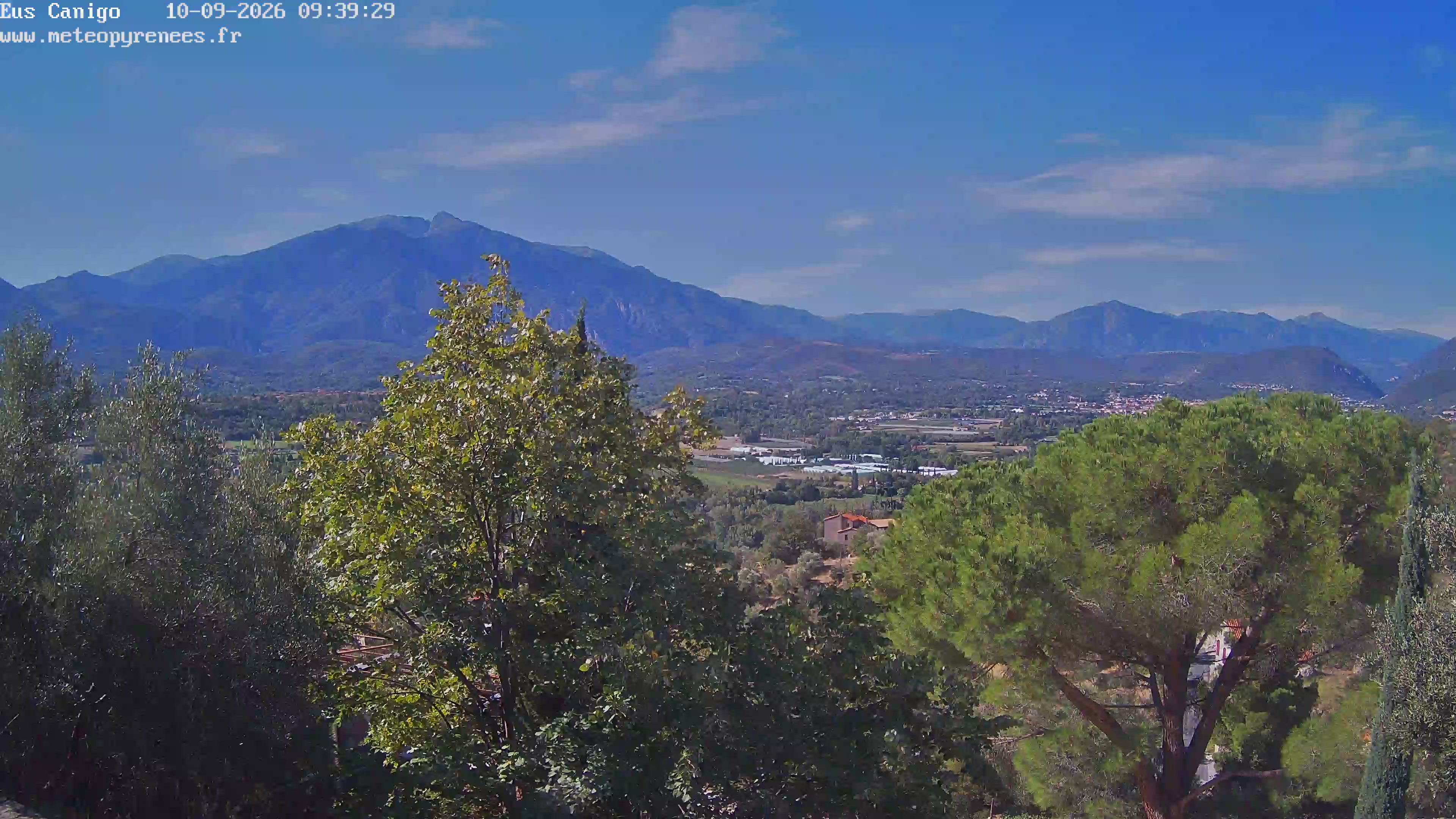 Webcam Image