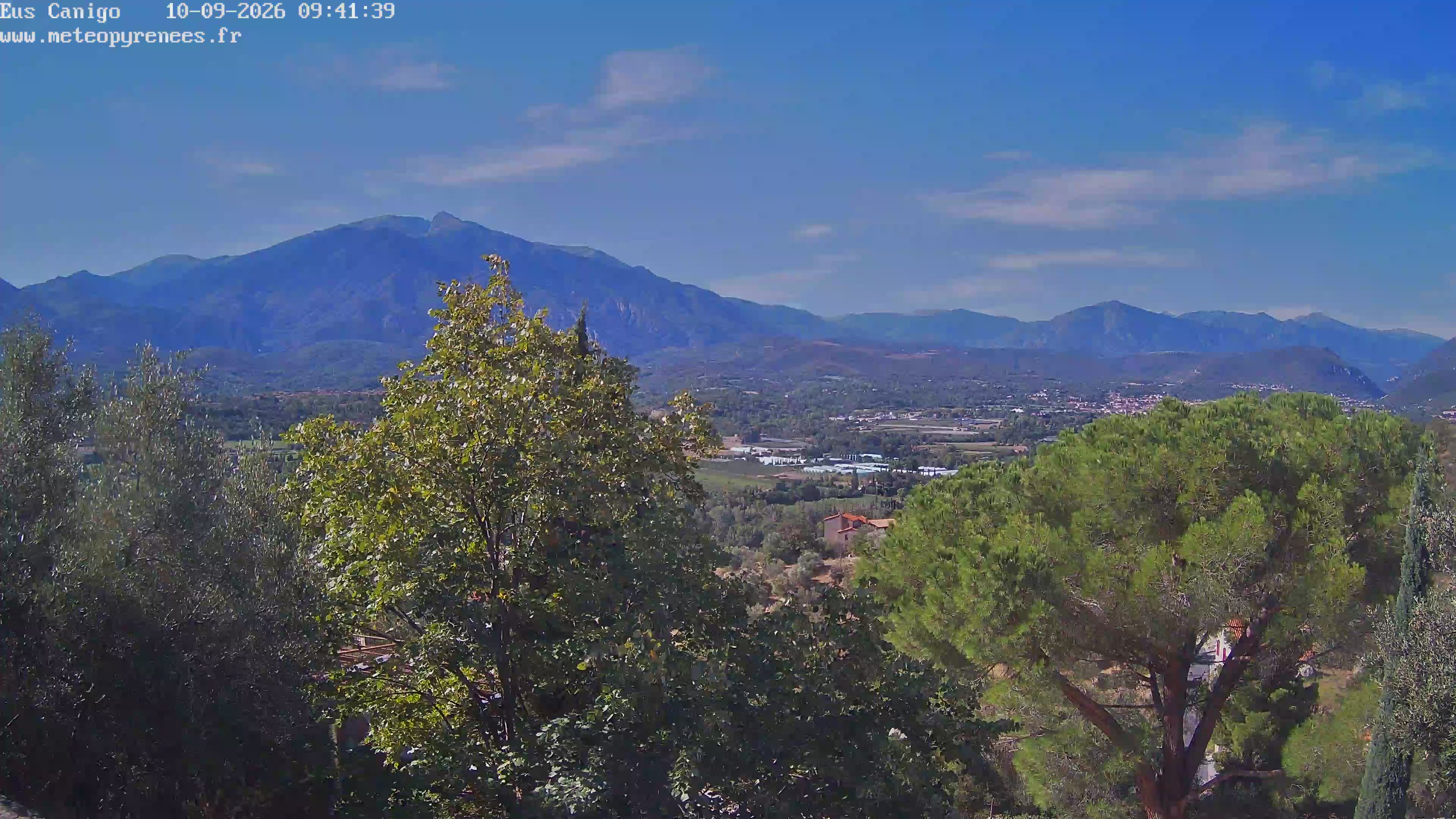 Webcam Image