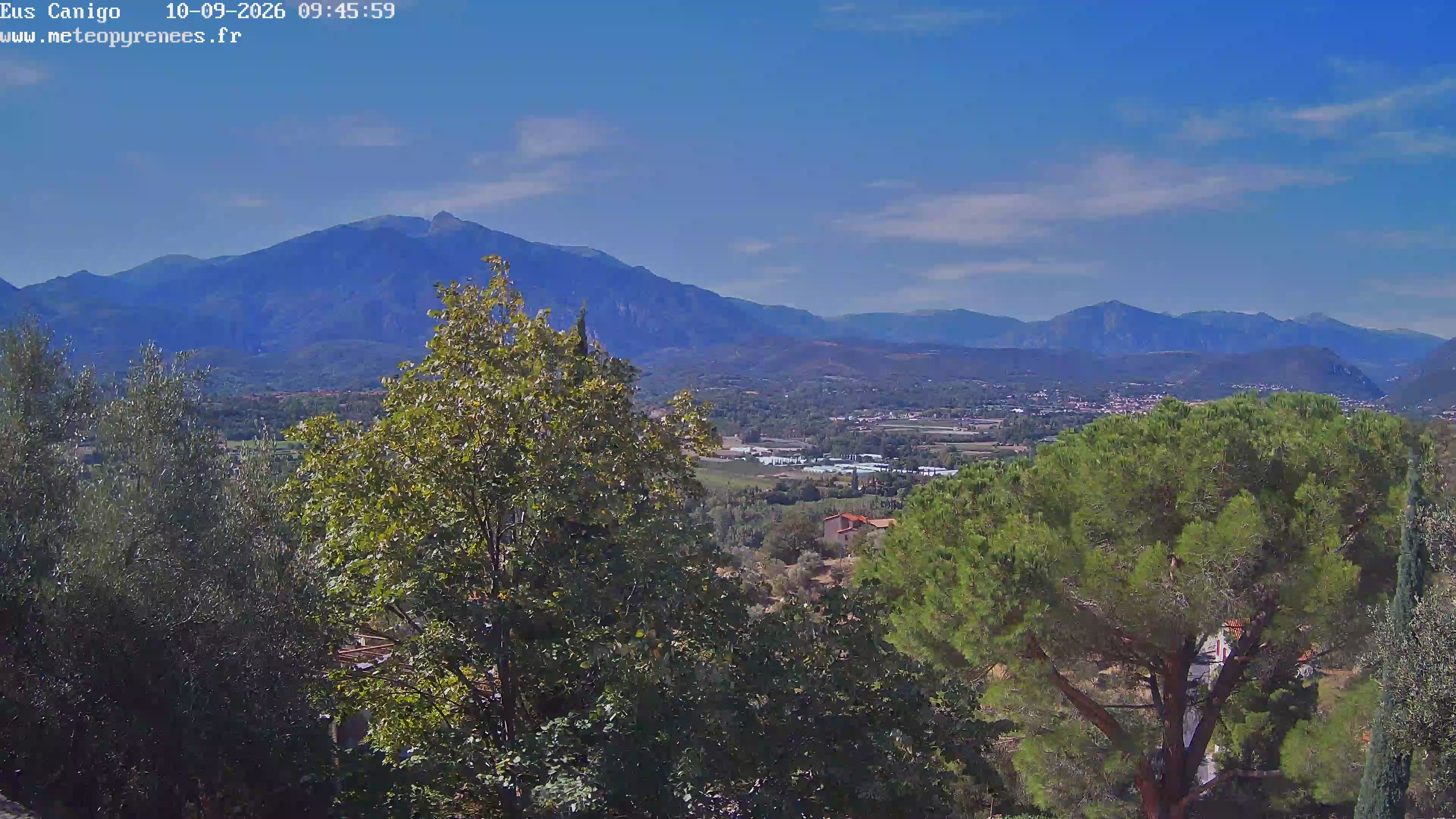 Webcam Image