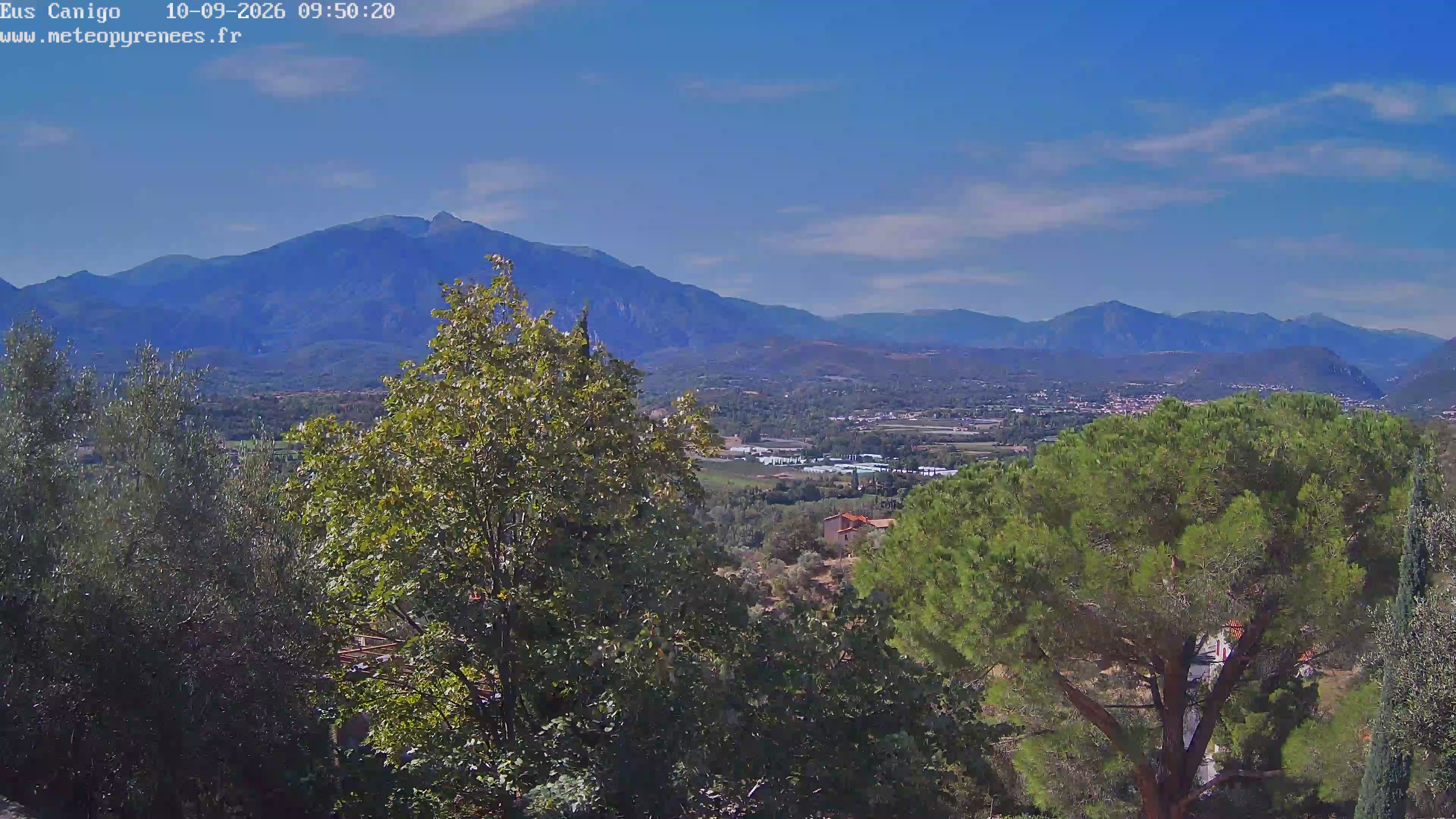 Webcam Image