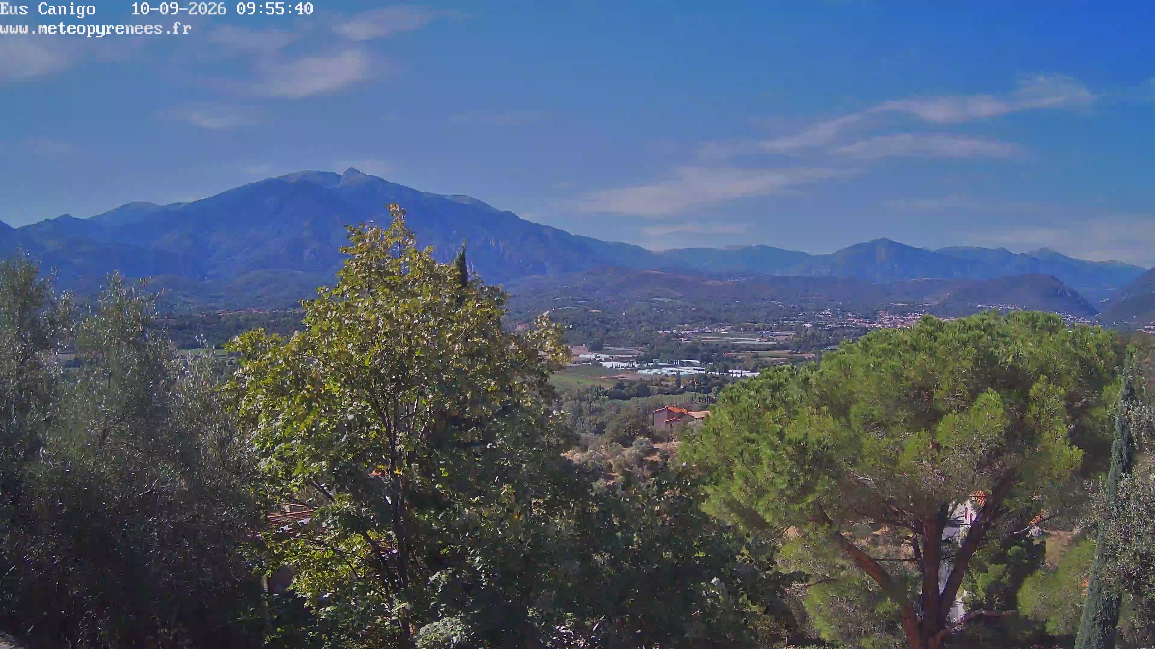 Webcam Image