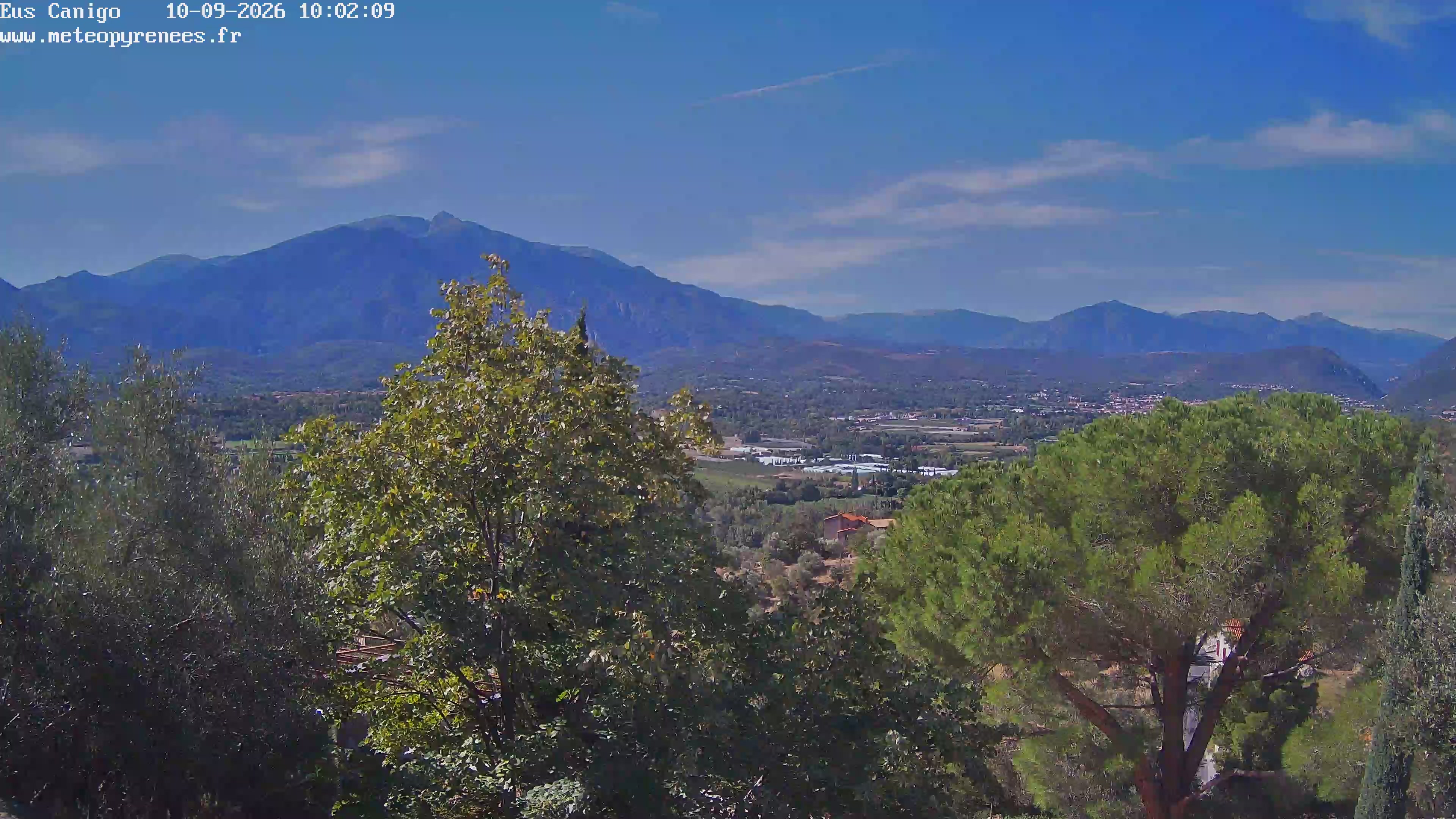 Webcam Image