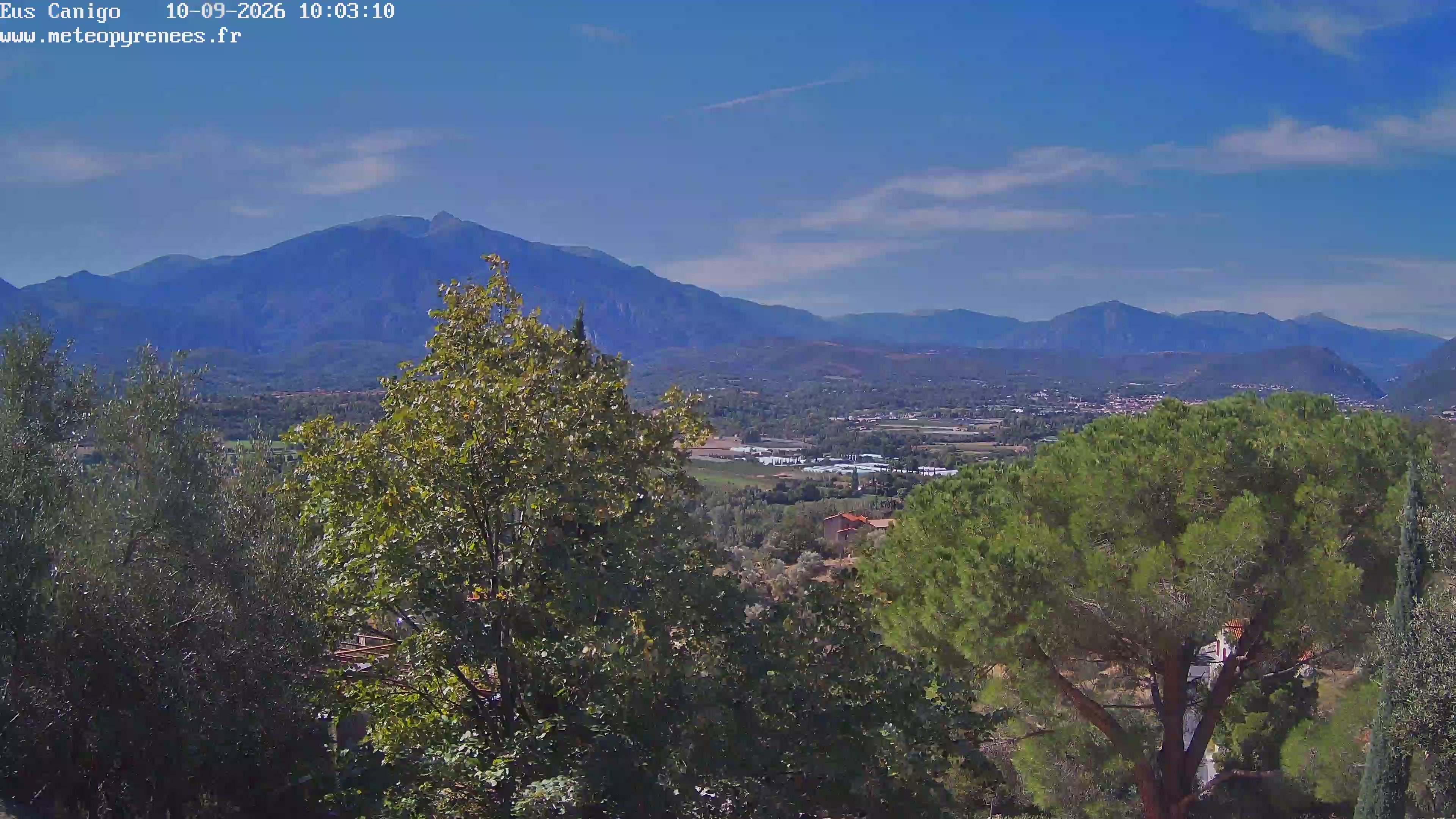 Webcam Image