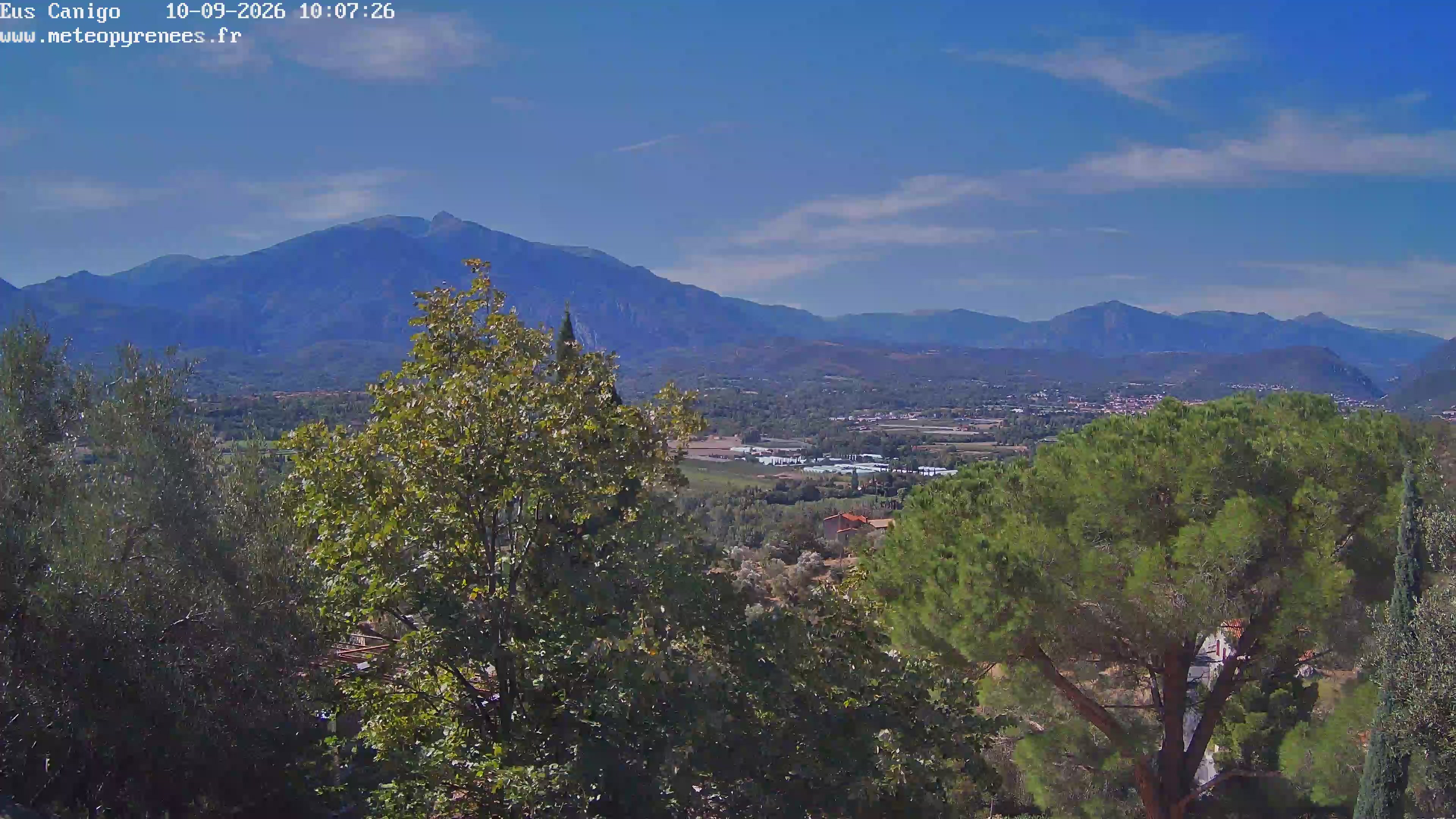 Webcam Image