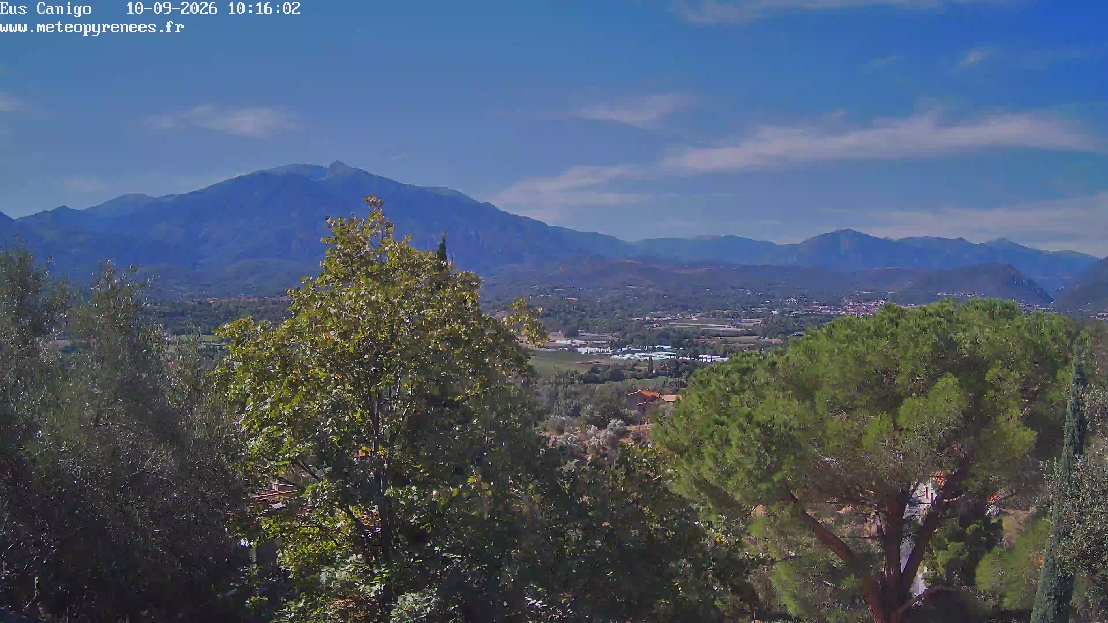 Webcam Image