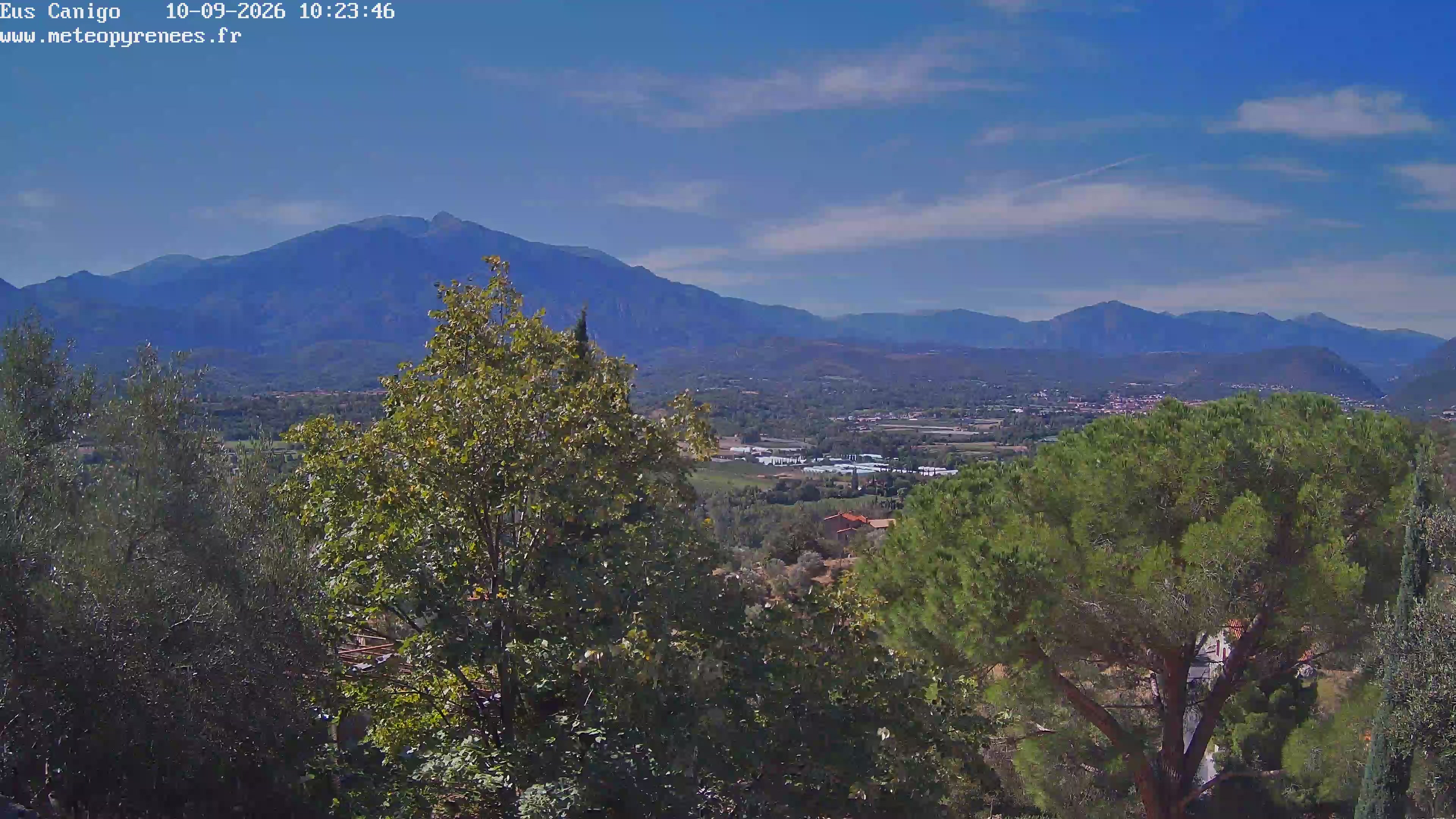 Webcam Image