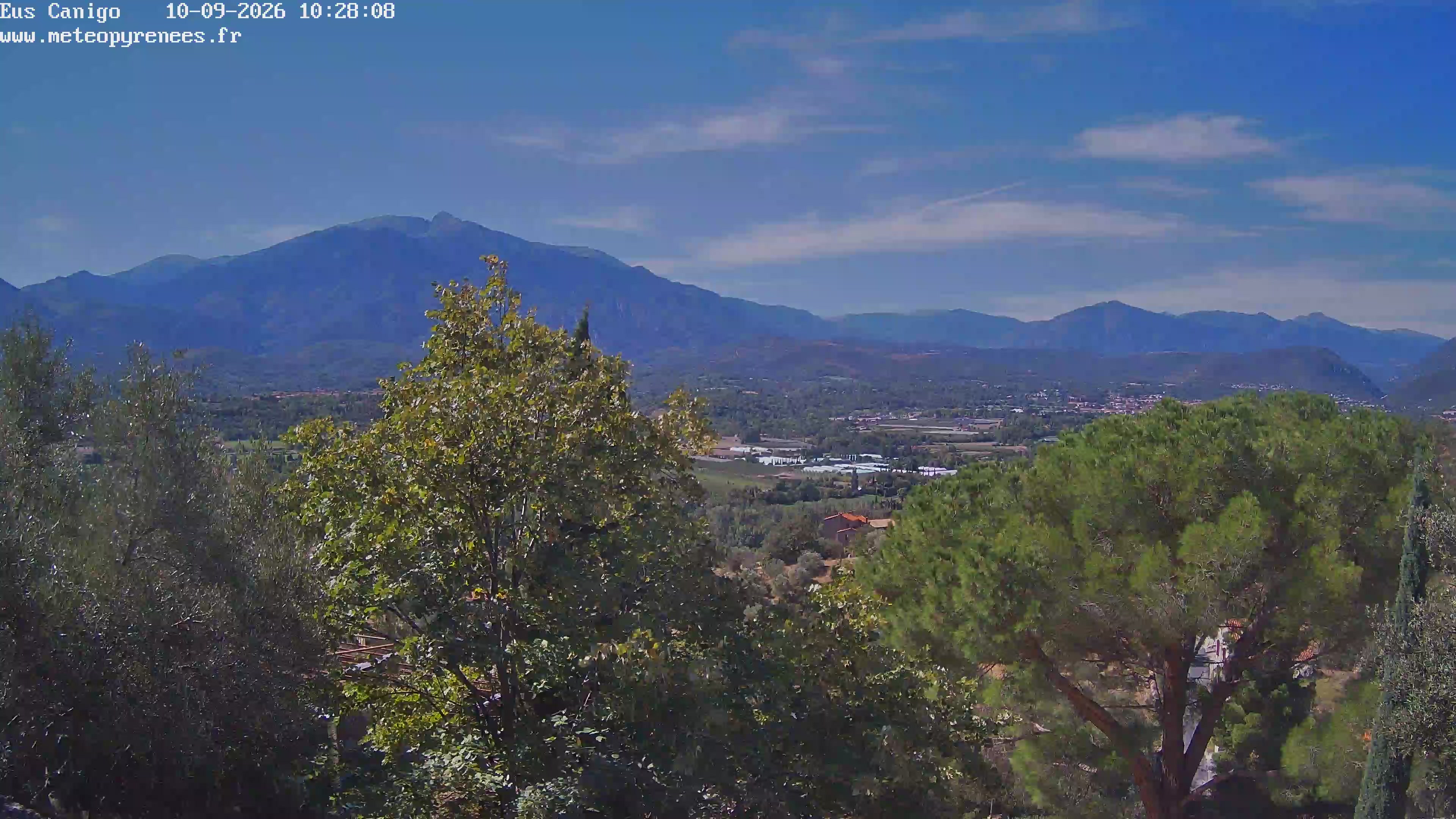 Webcam Image