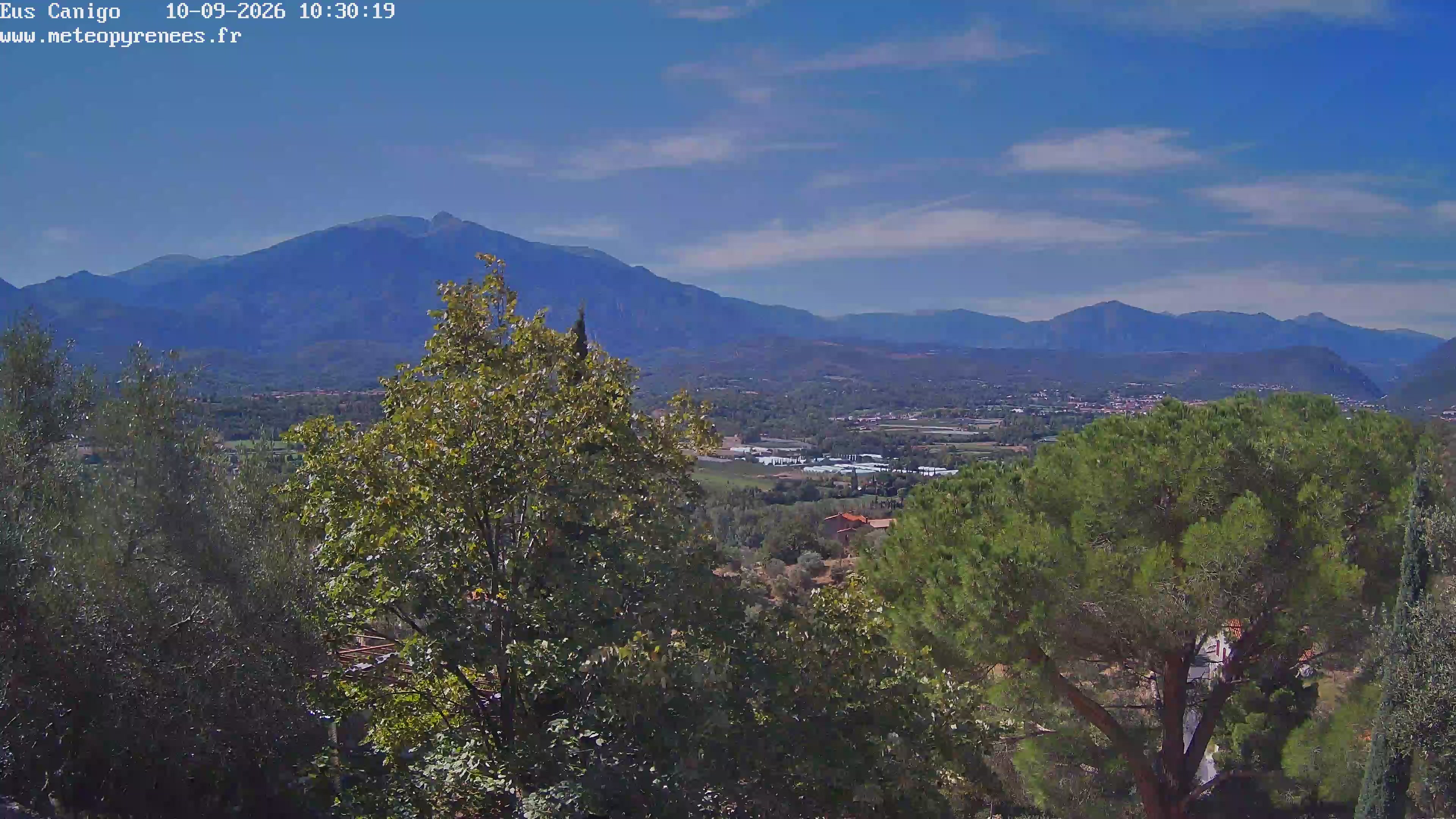 Webcam Image
