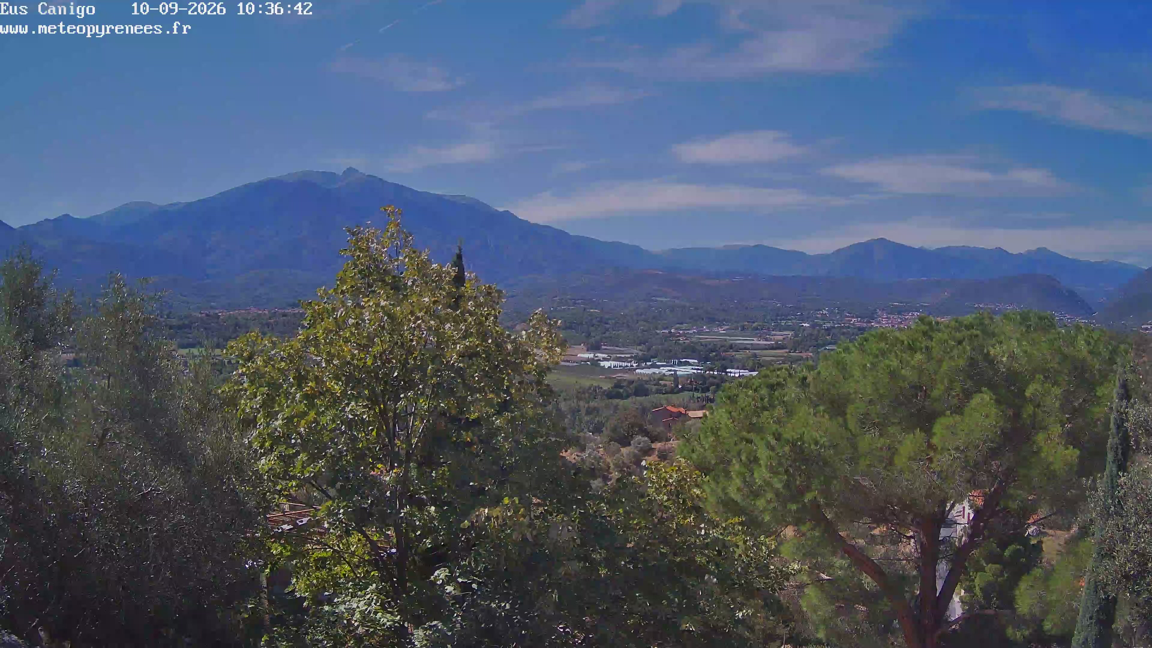 Webcam Image