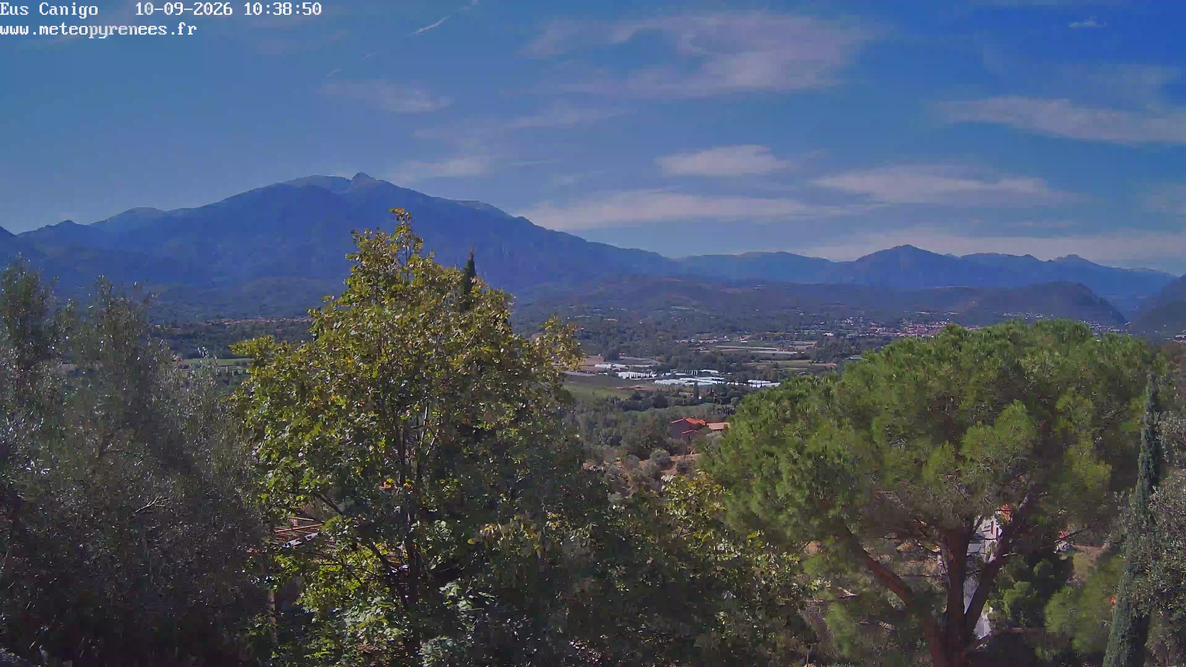 Webcam Image
