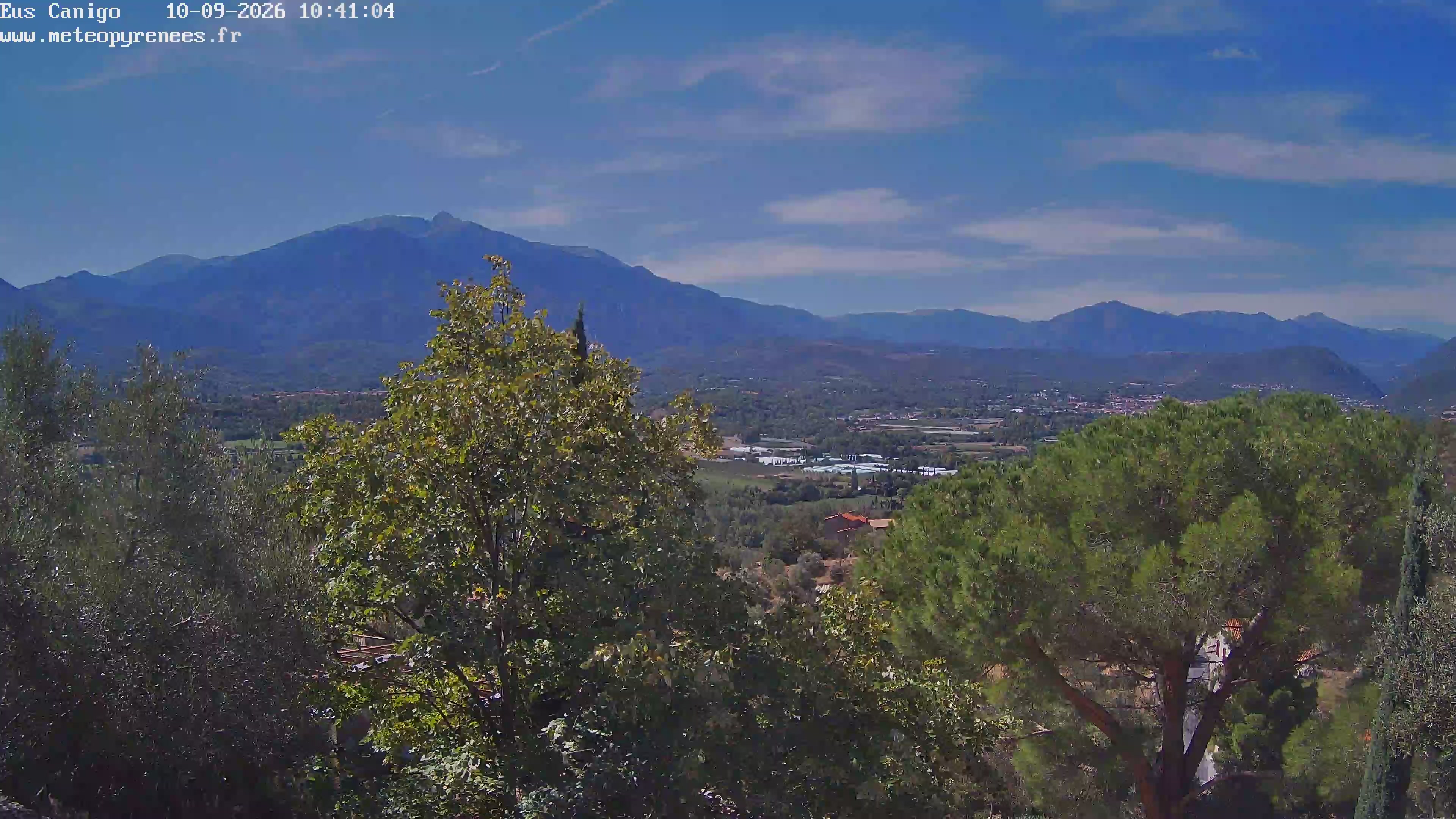 Webcam Image