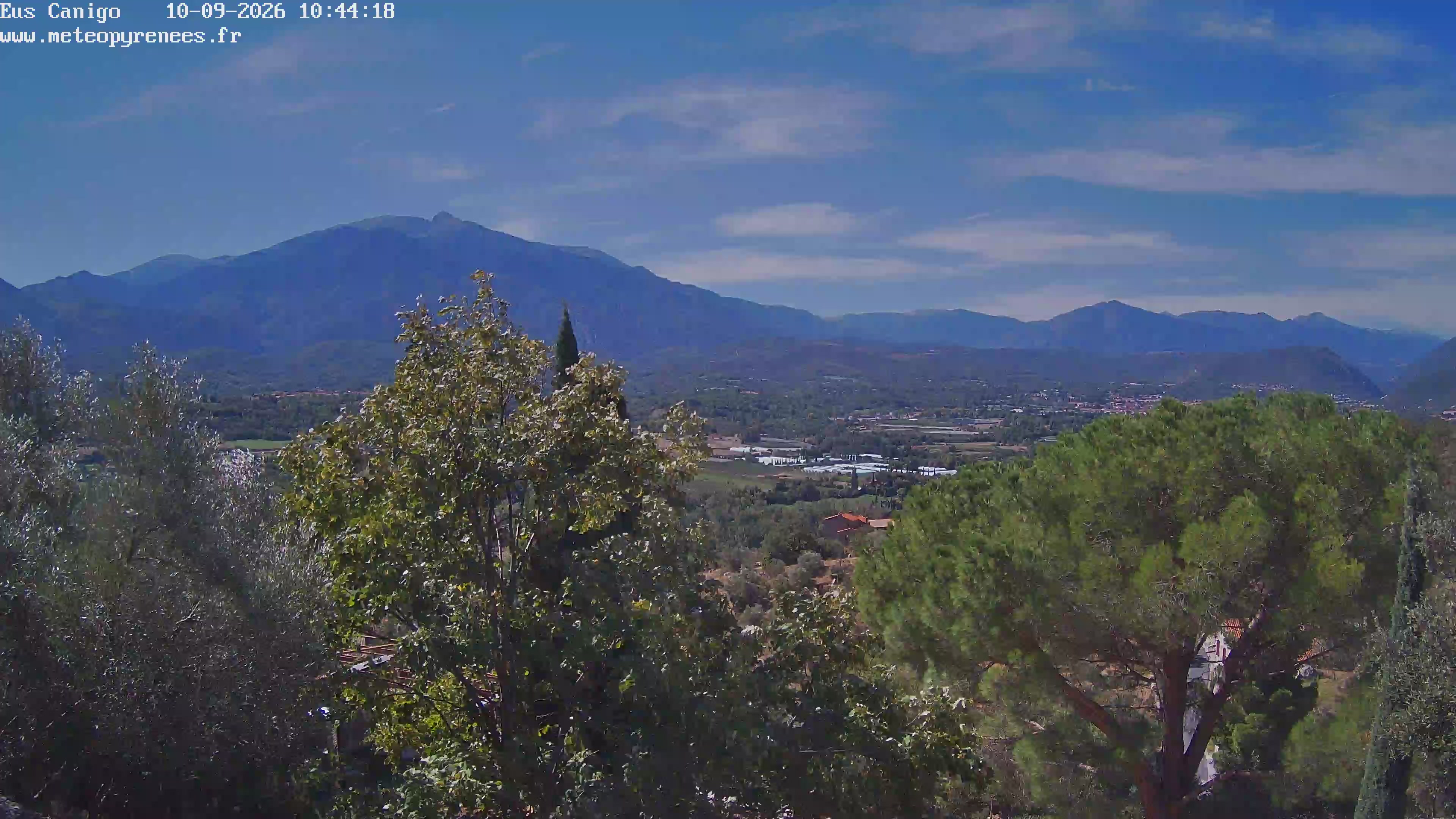 Webcam Image
