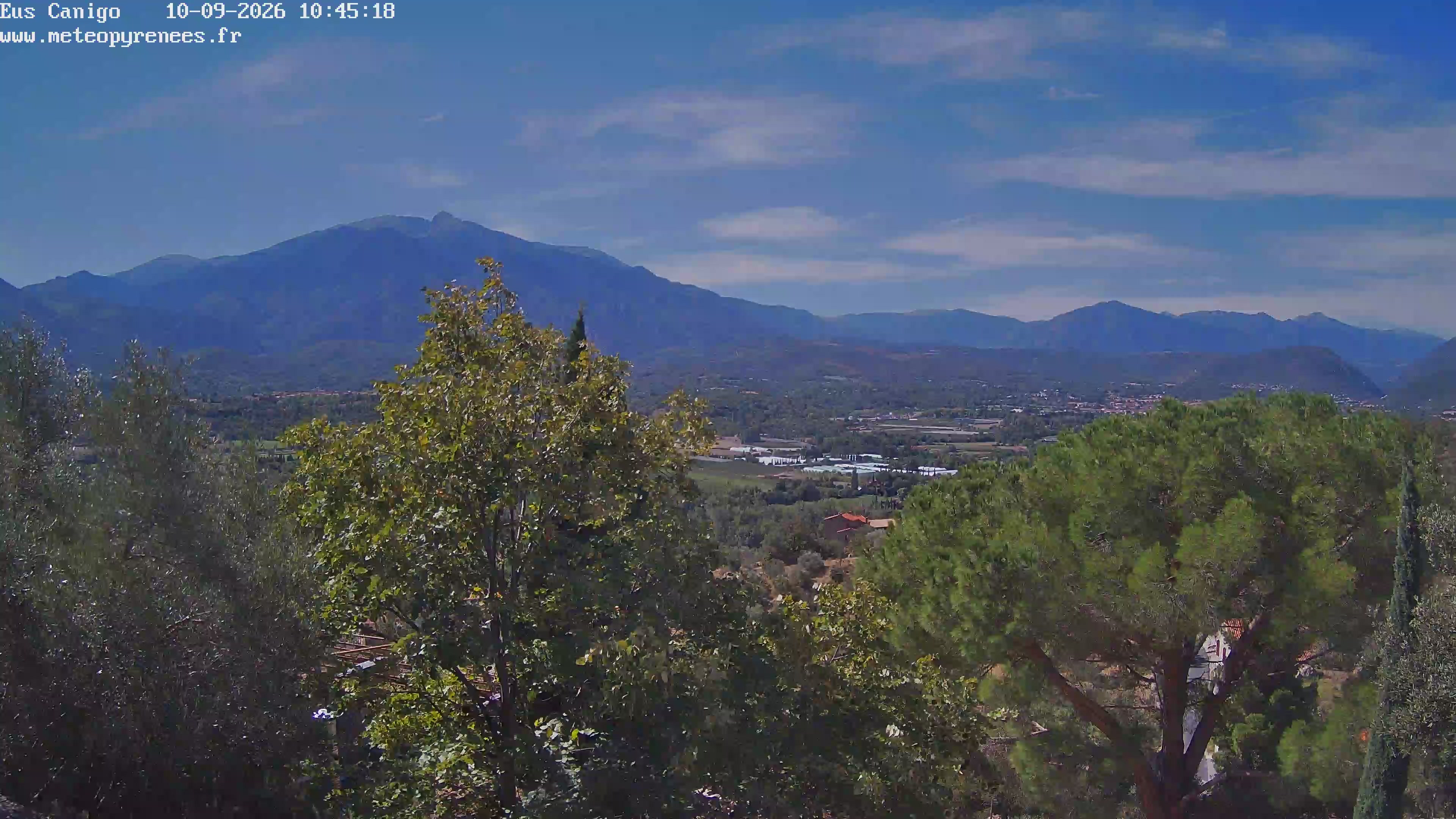 Webcam Image
