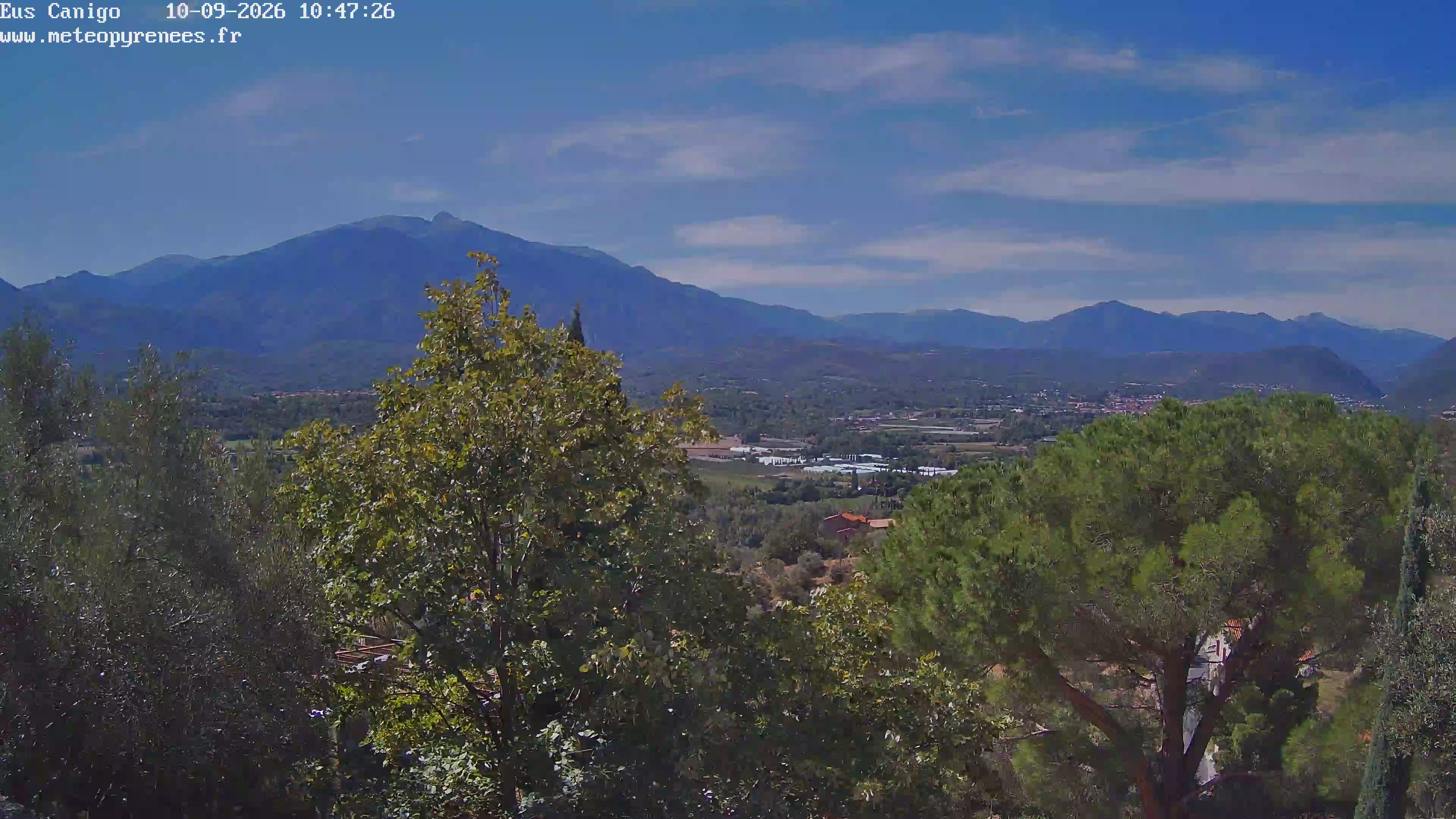 Webcam Image