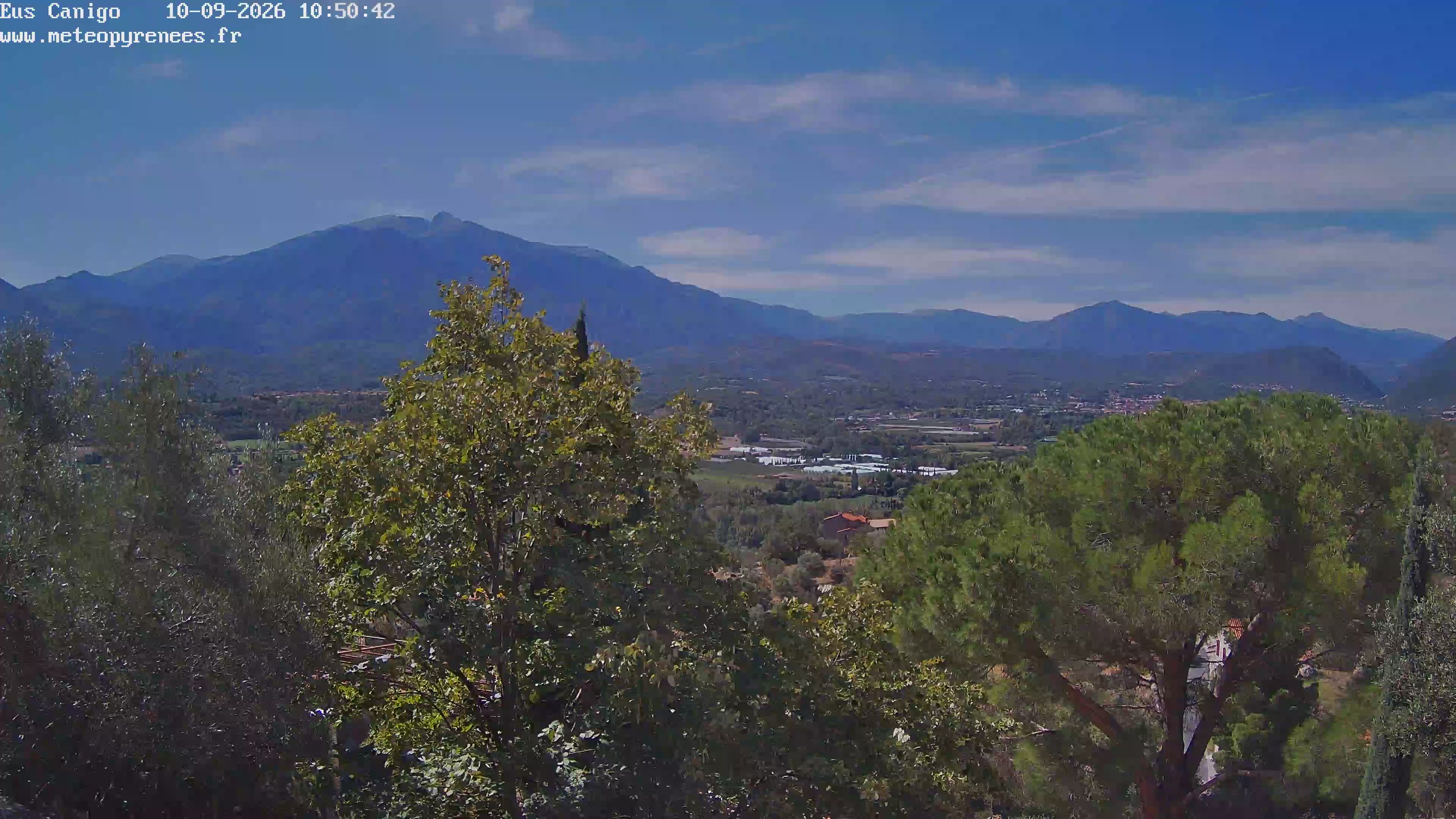 Webcam Image