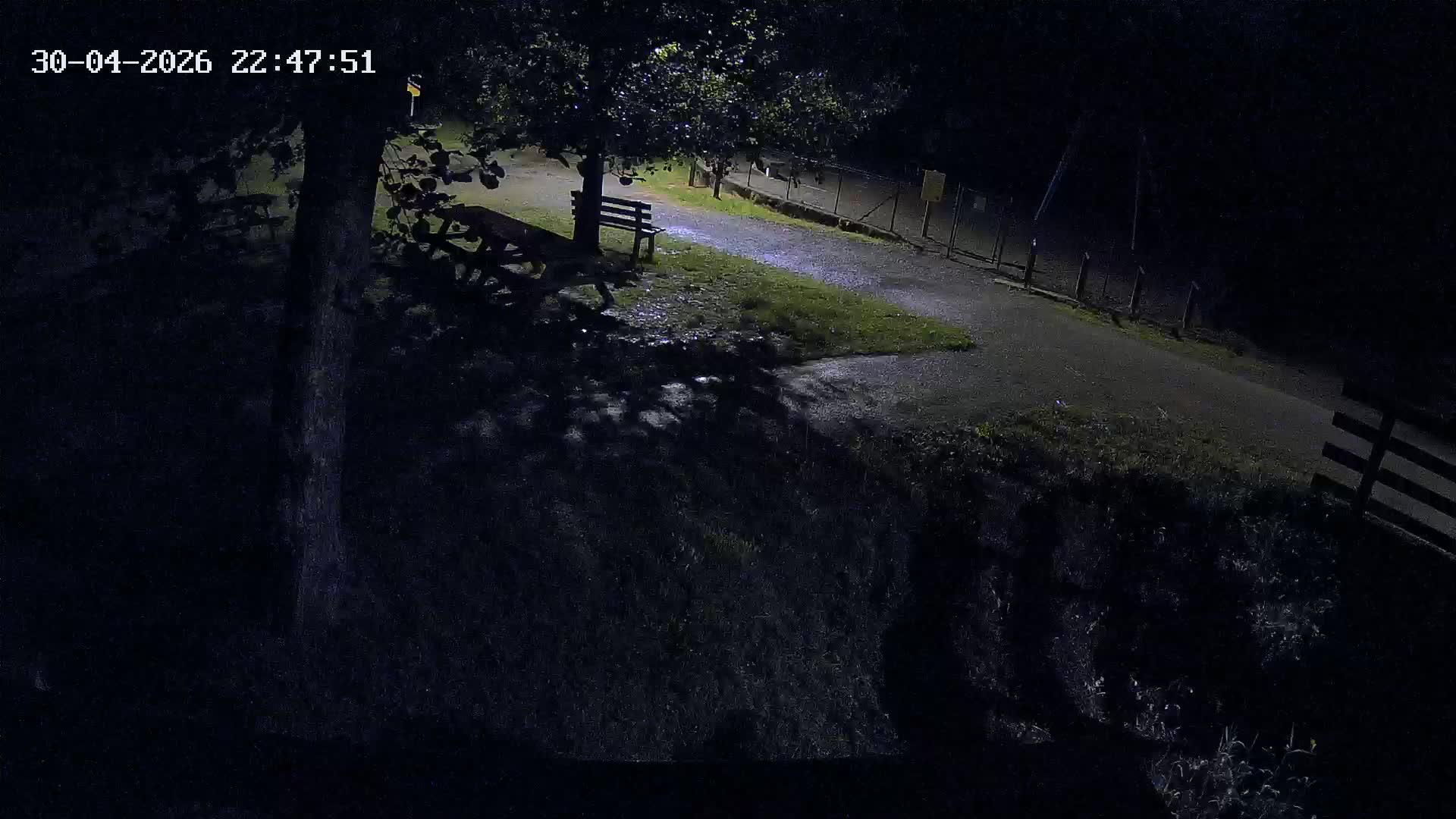 Webcam Image
