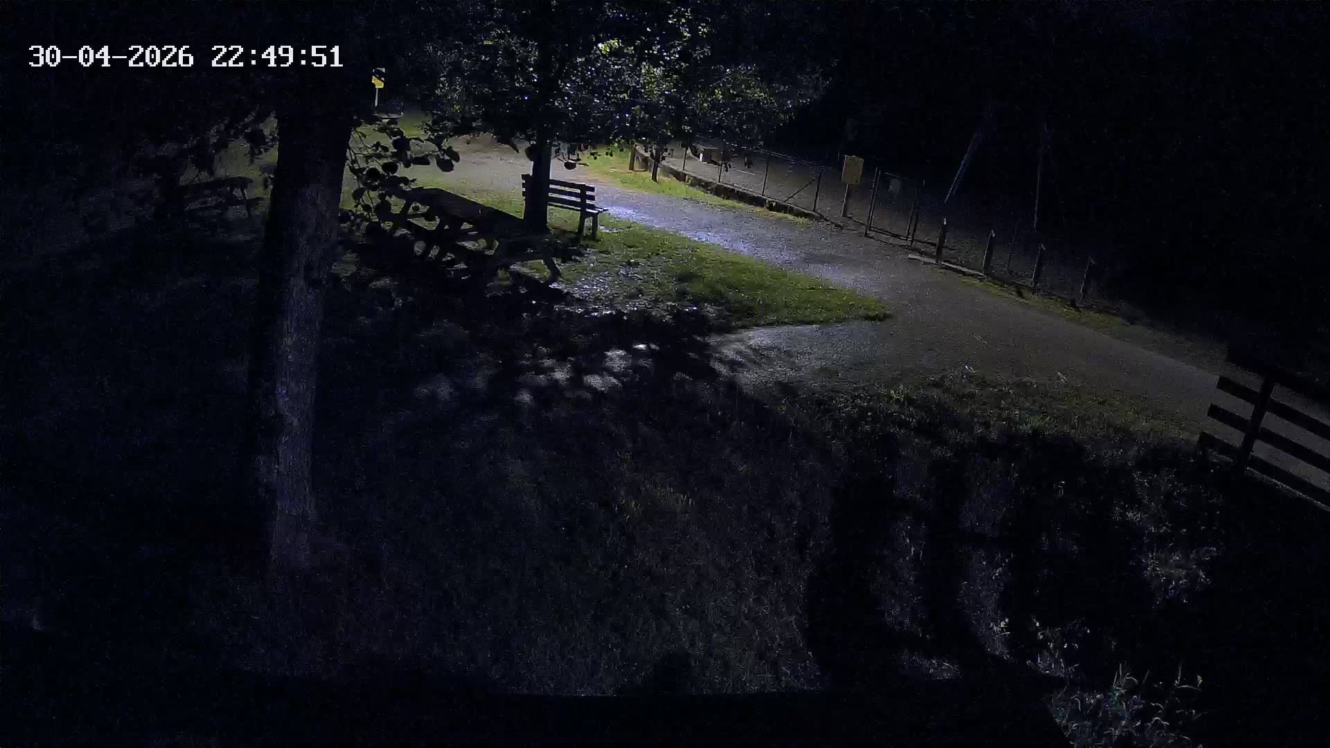 Webcam Image