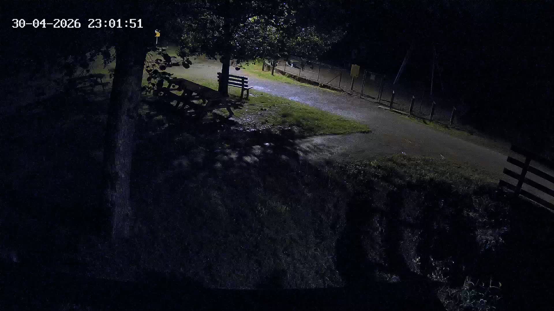 Webcam Image