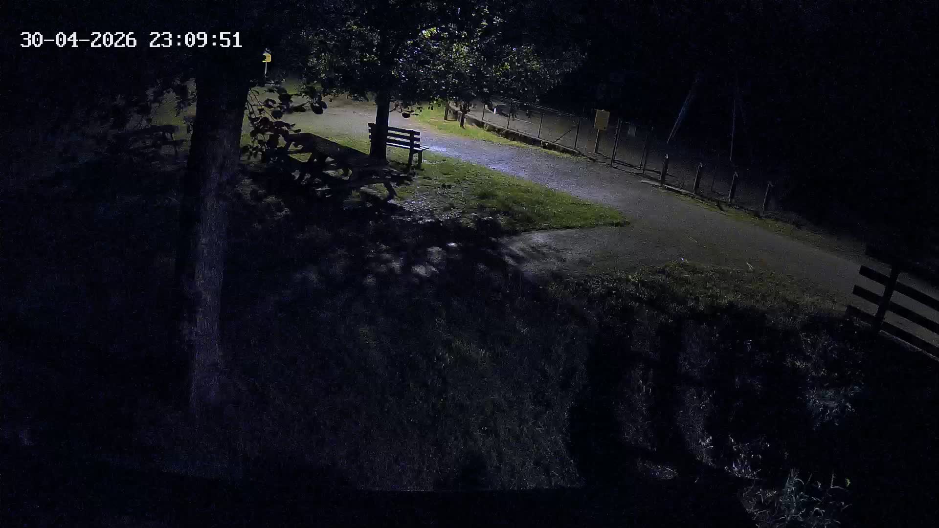Webcam Image
