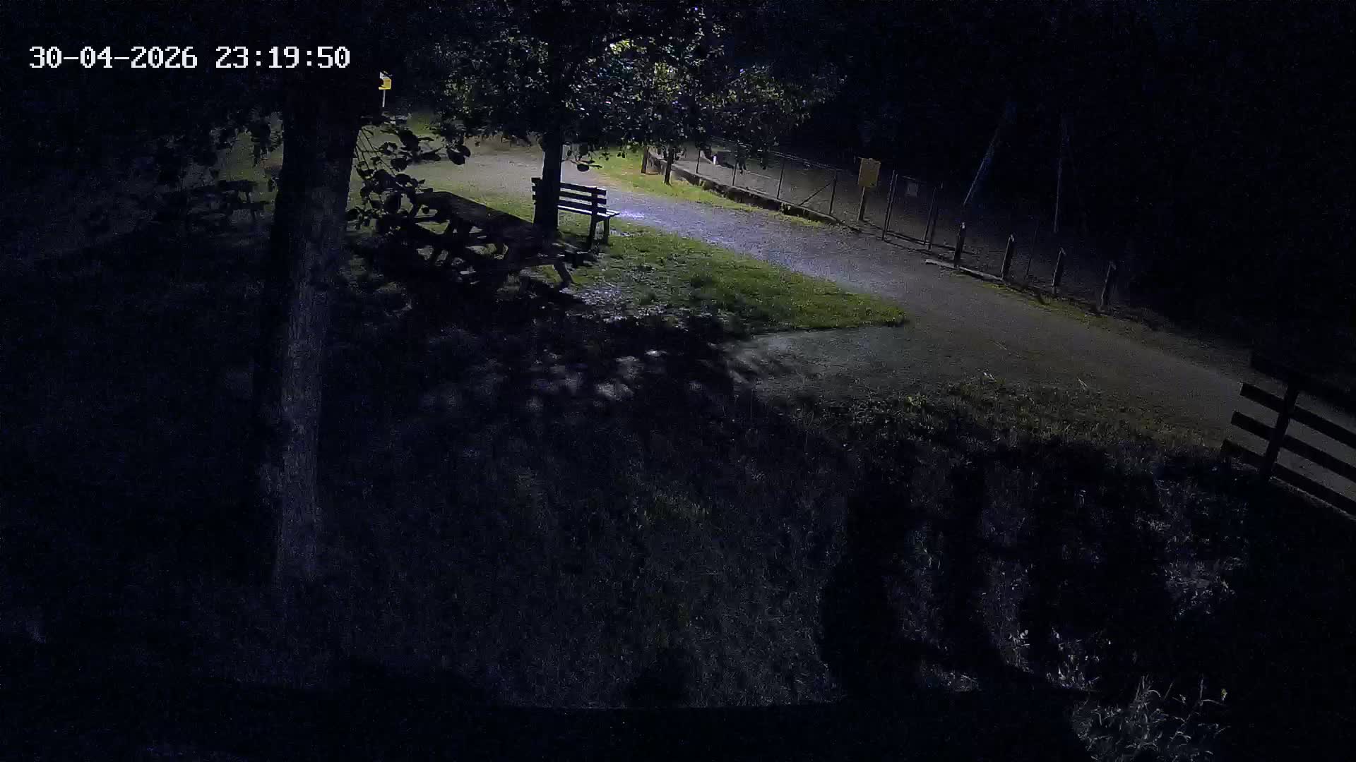 Webcam Image