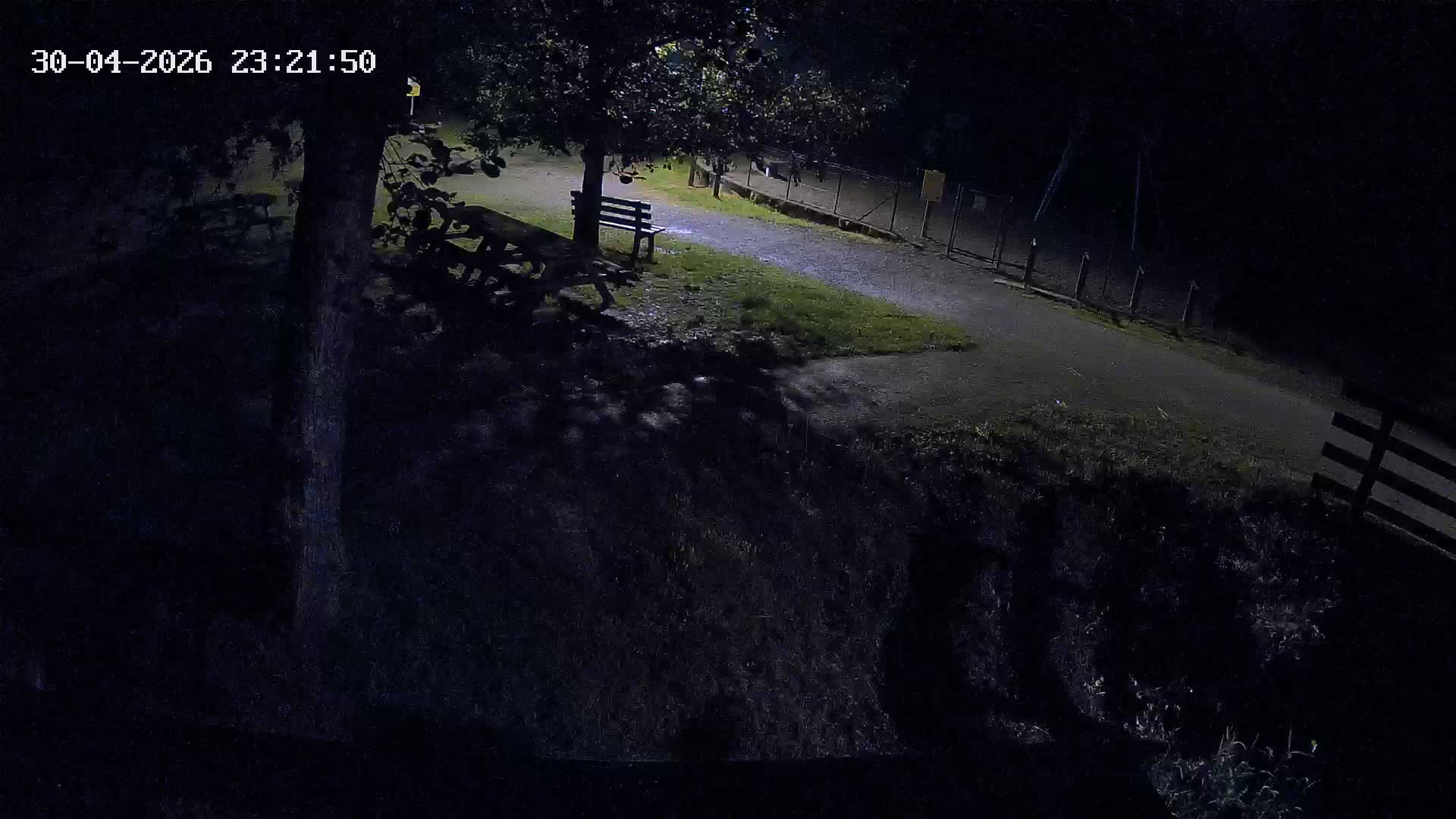 Webcam Image
