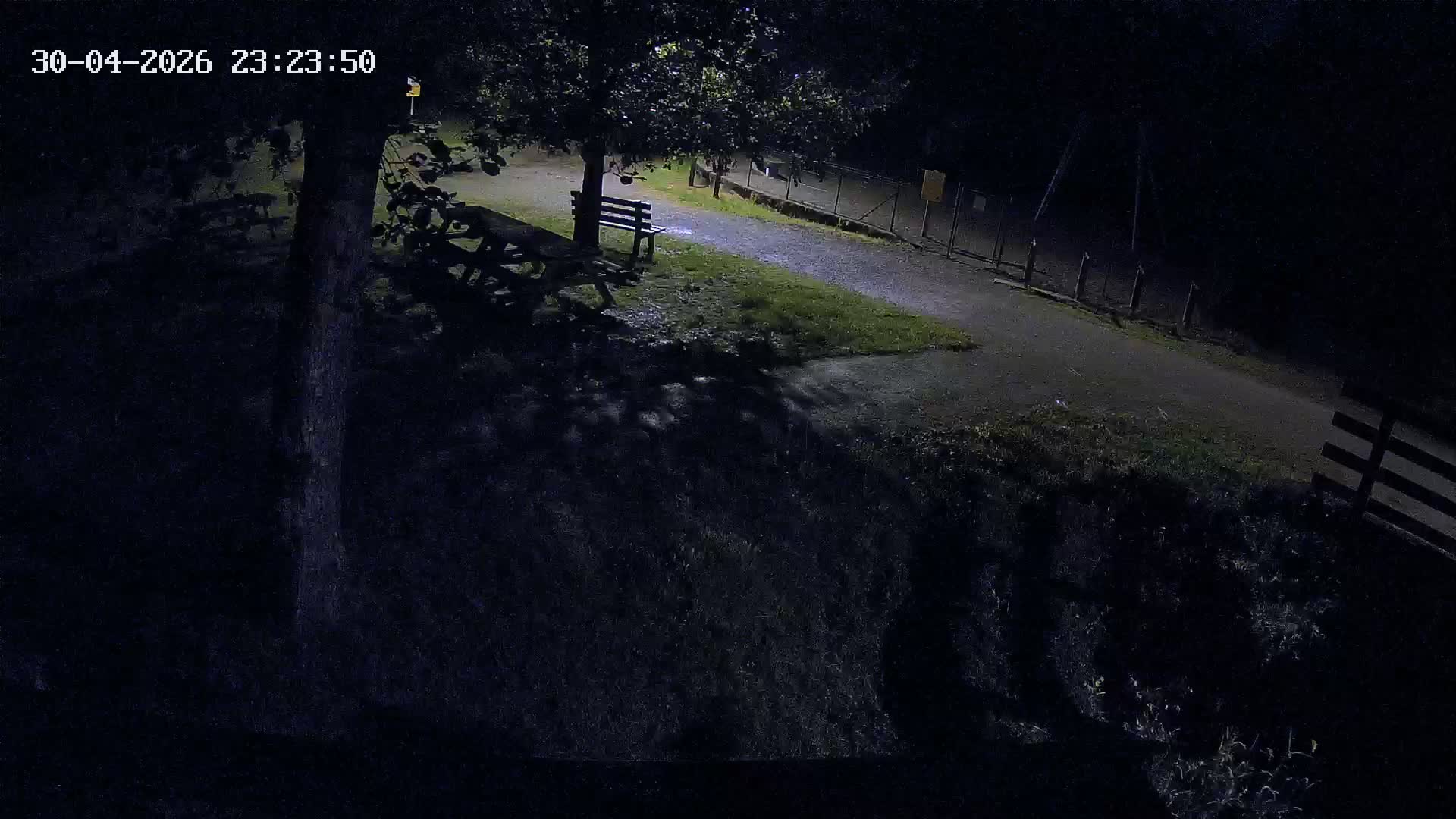 Webcam Image