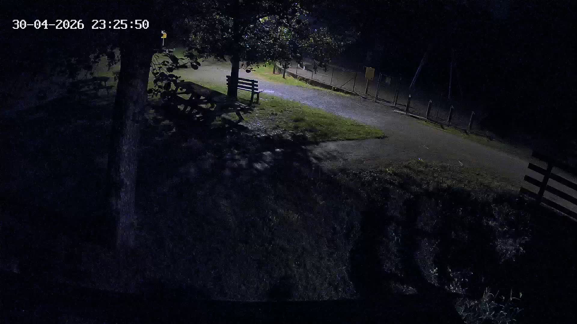 Webcam Image