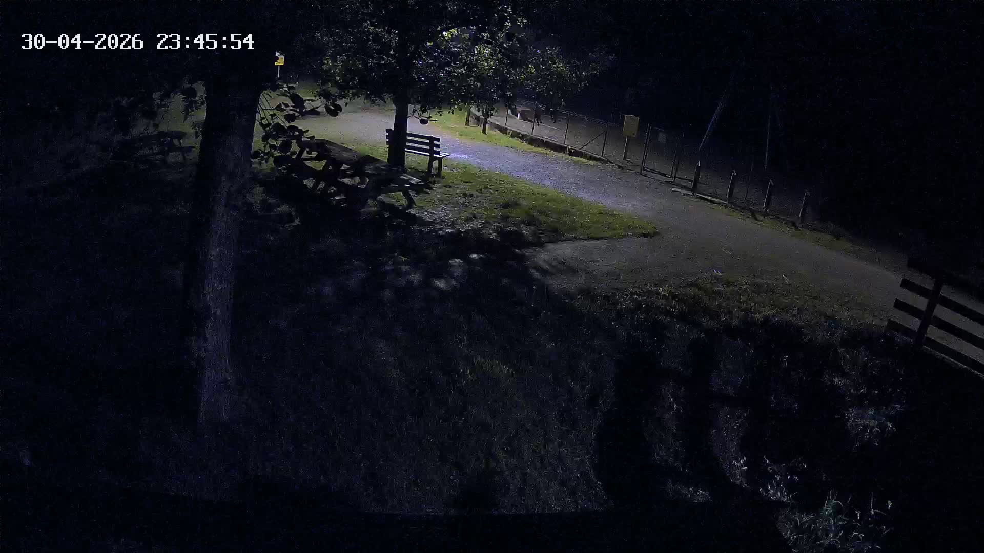 Webcam Image