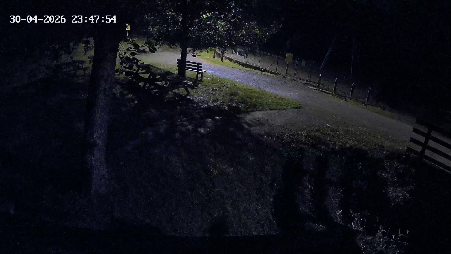 Webcam Image