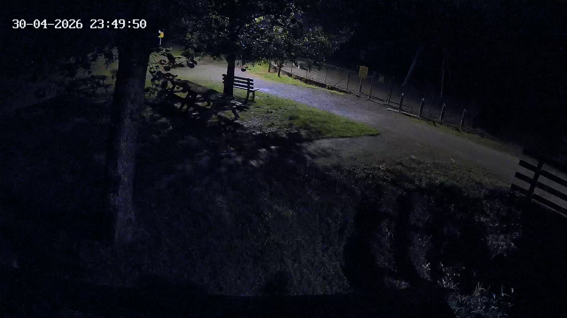 Webcam Image