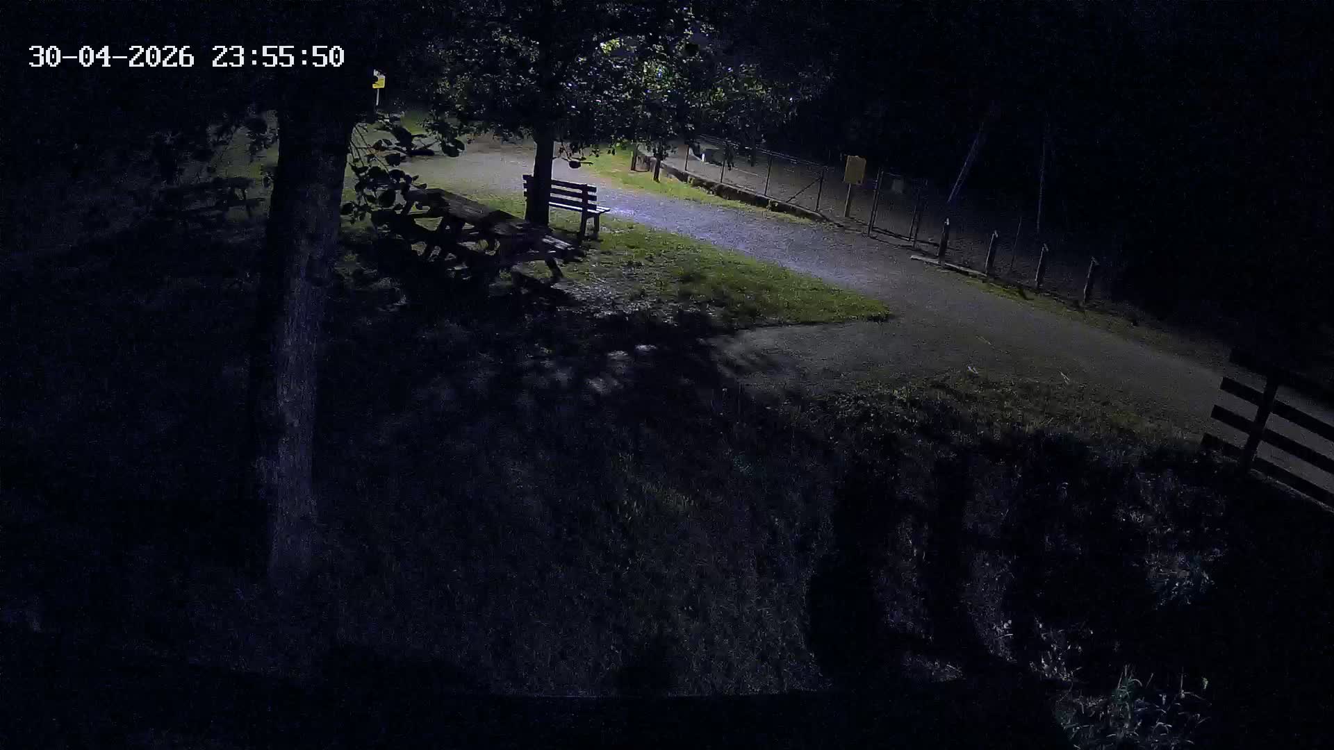 Webcam Image