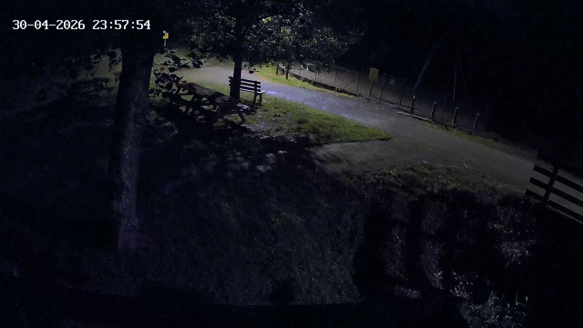 Webcam Image
