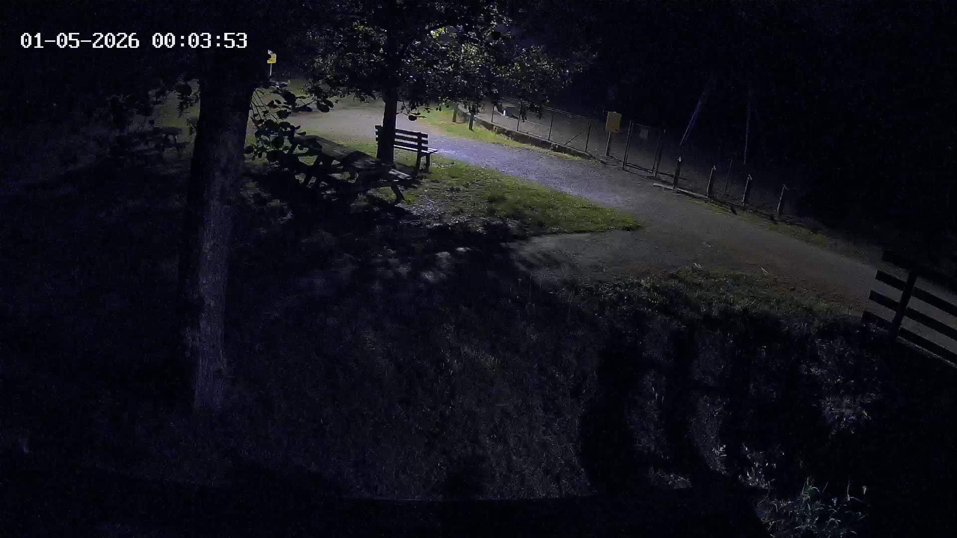 Webcam Image