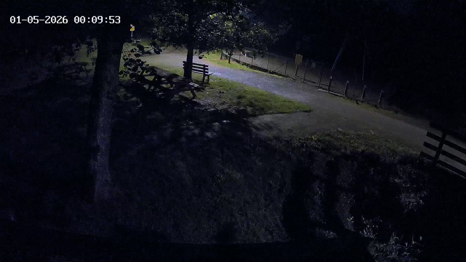 Webcam Image