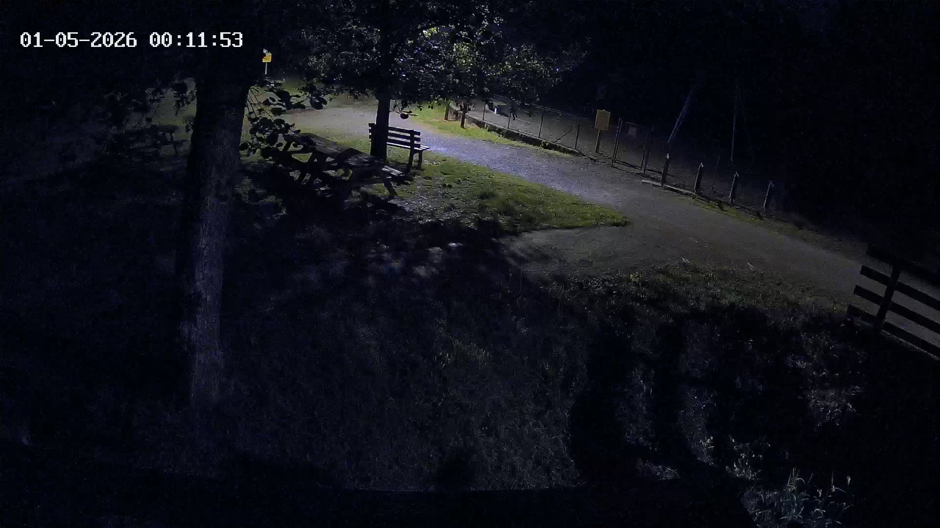 Webcam Image