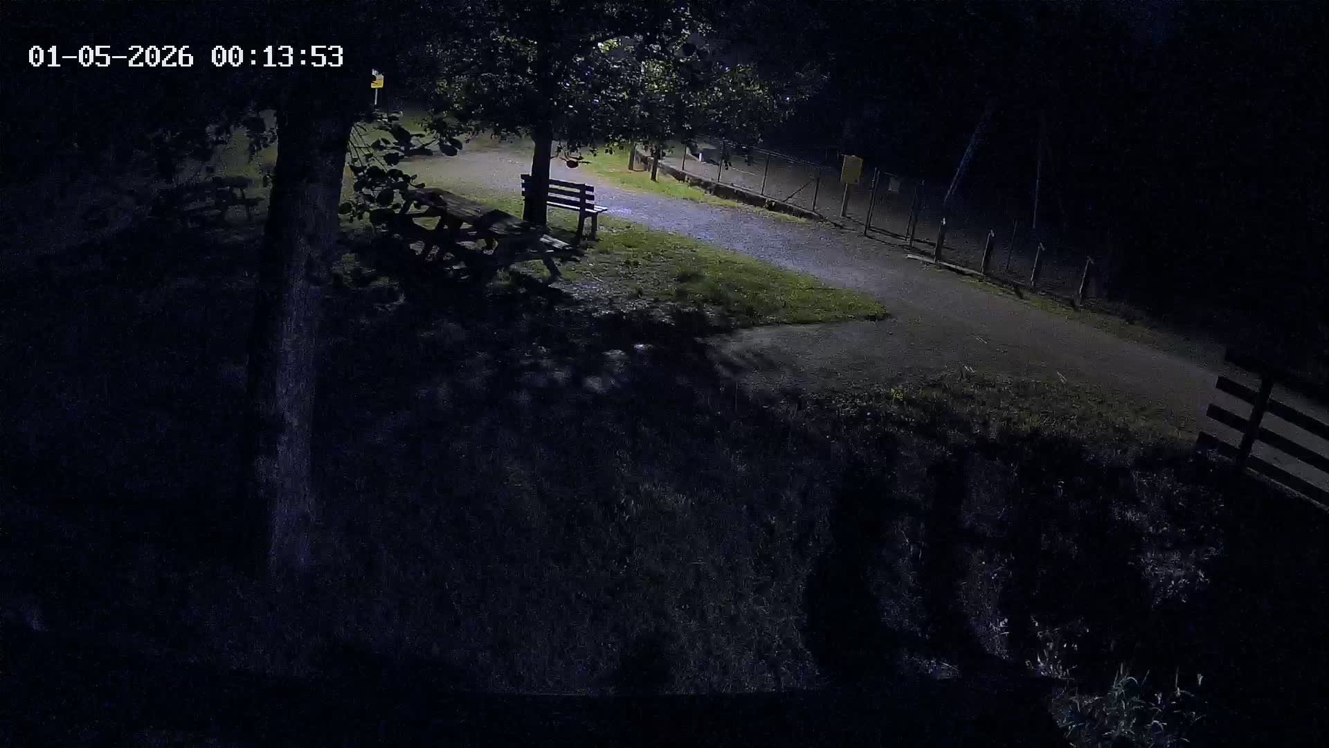 Webcam Image