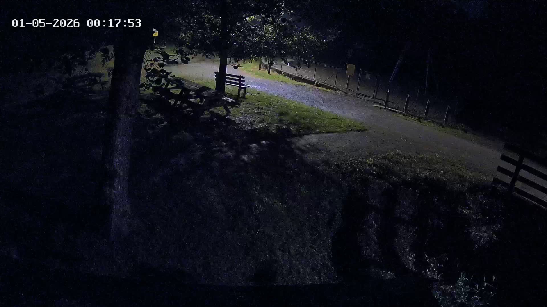 Webcam Image