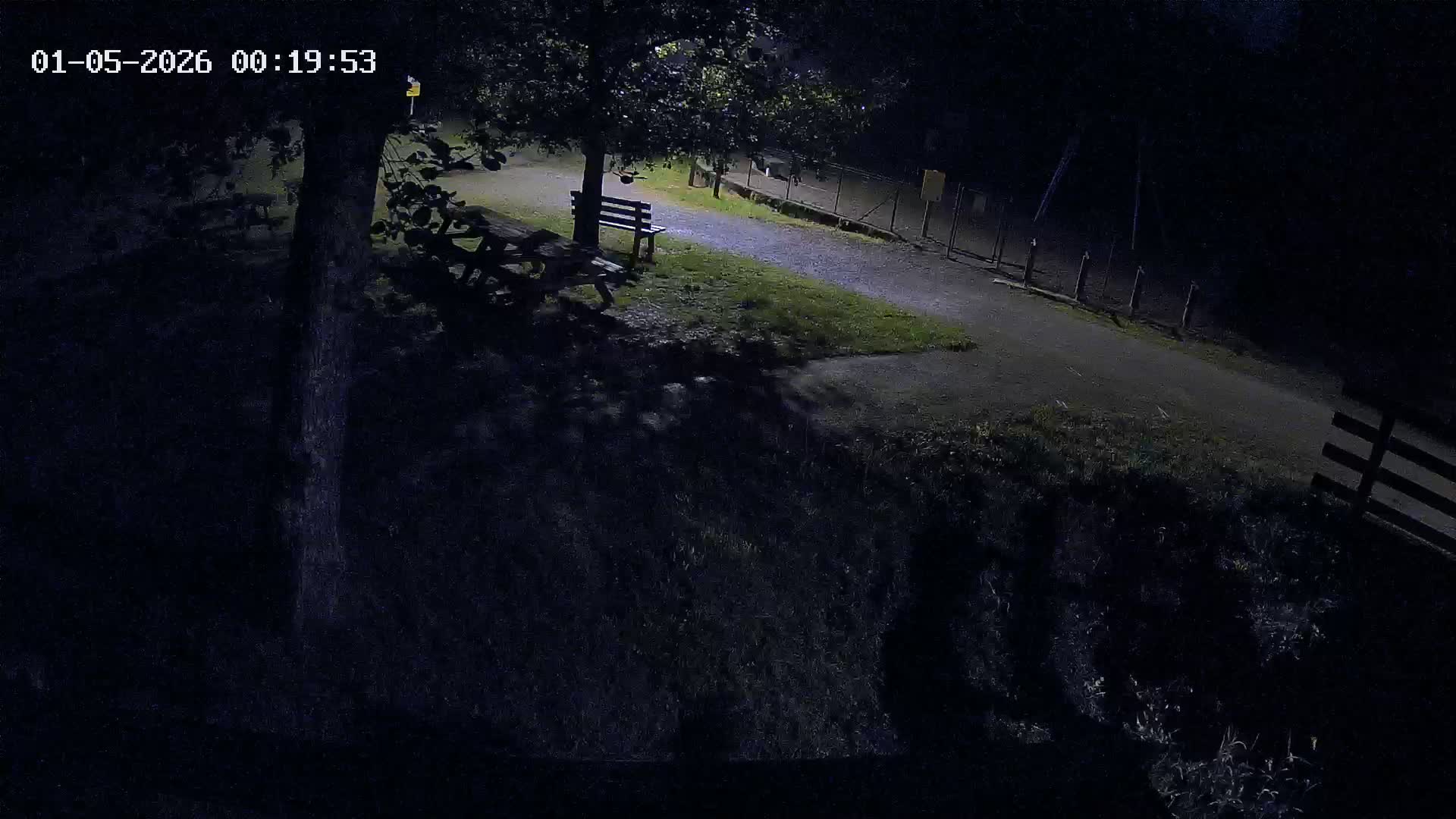 Webcam Image