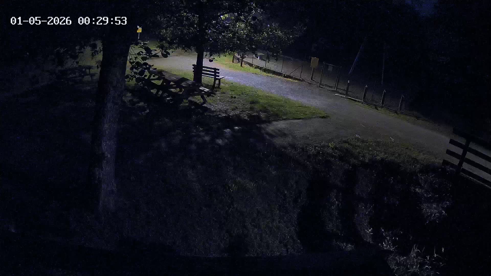 Webcam Image